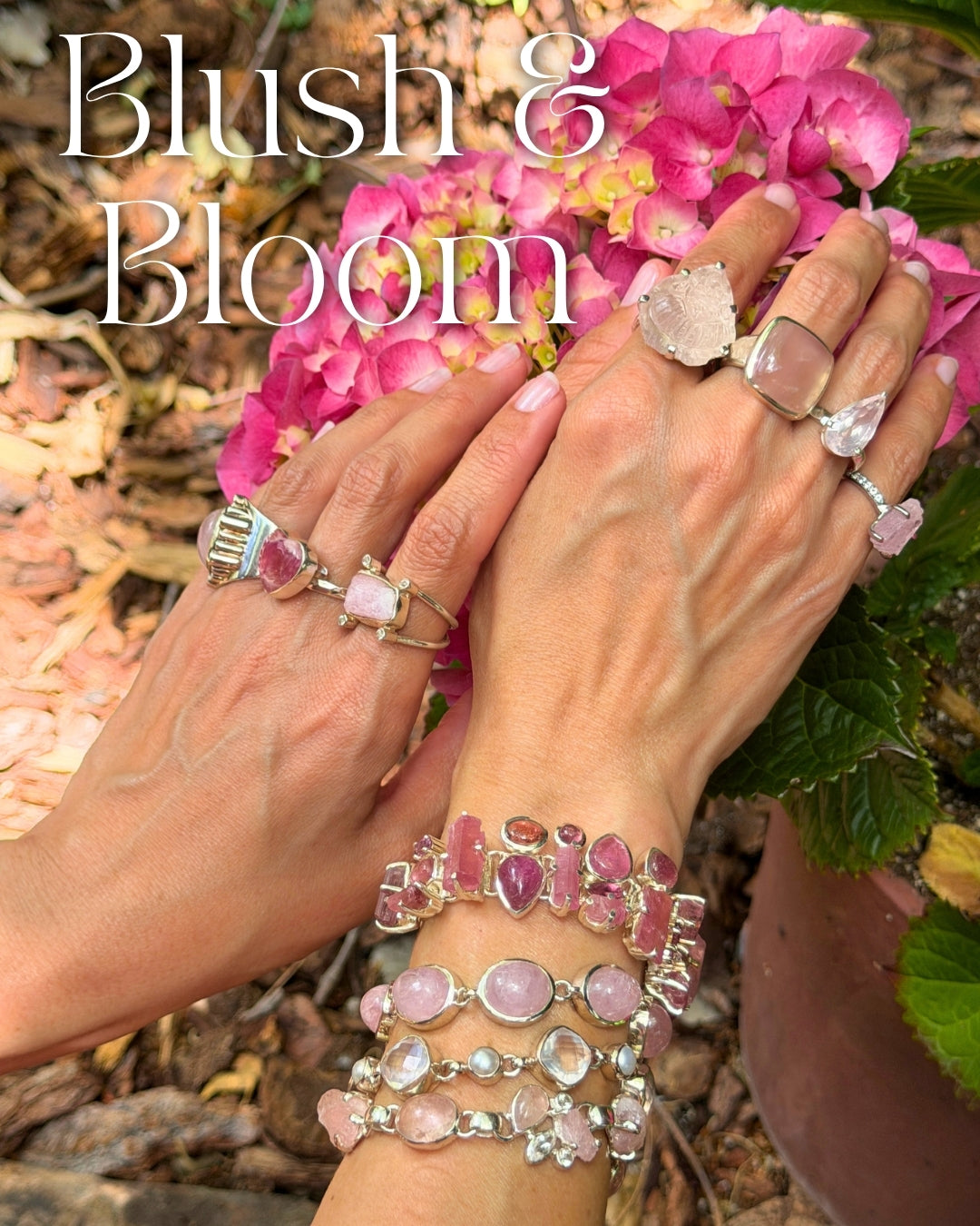 Blush & Bloom