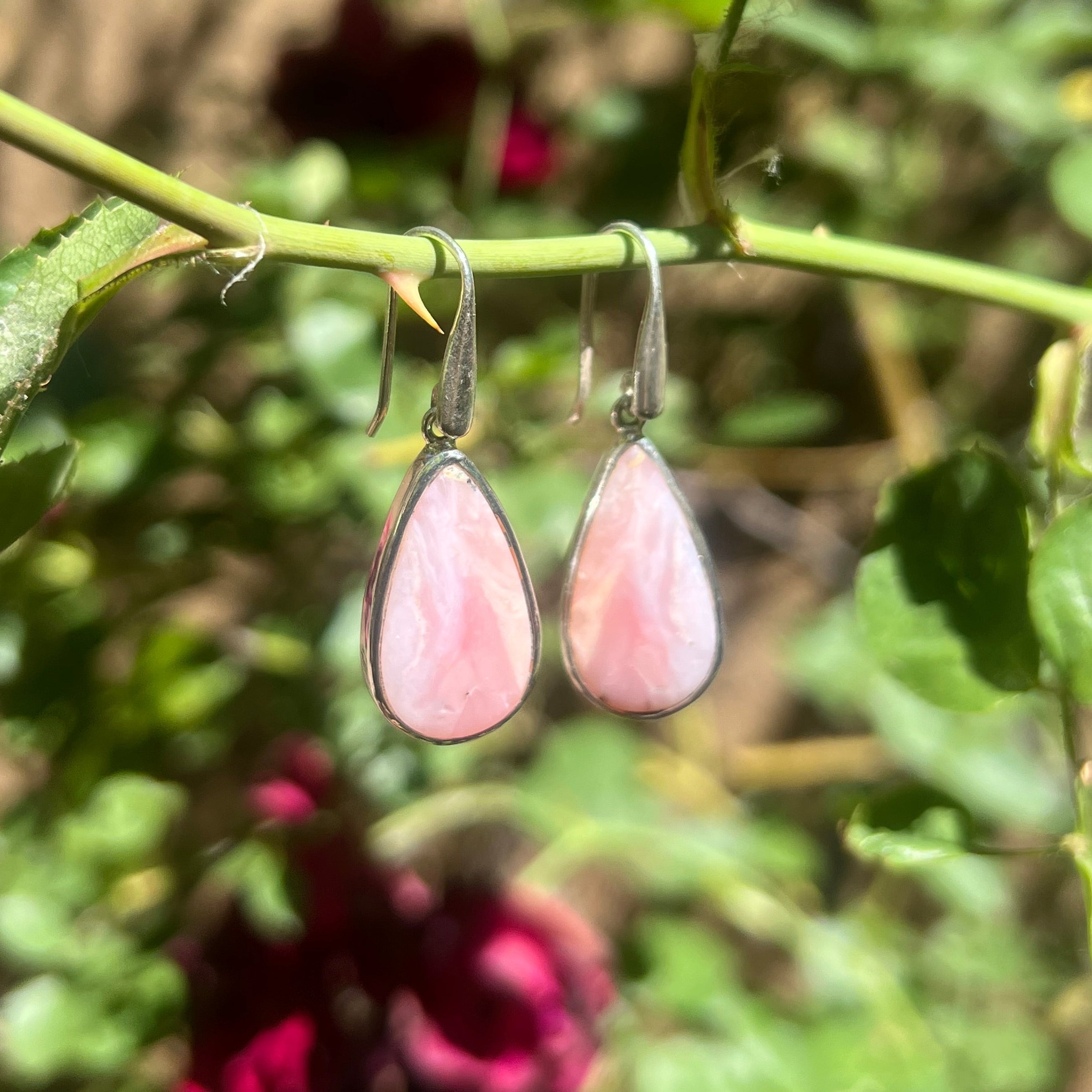 Starborn Pink Opal Dangle Earrings in Sterling Silver