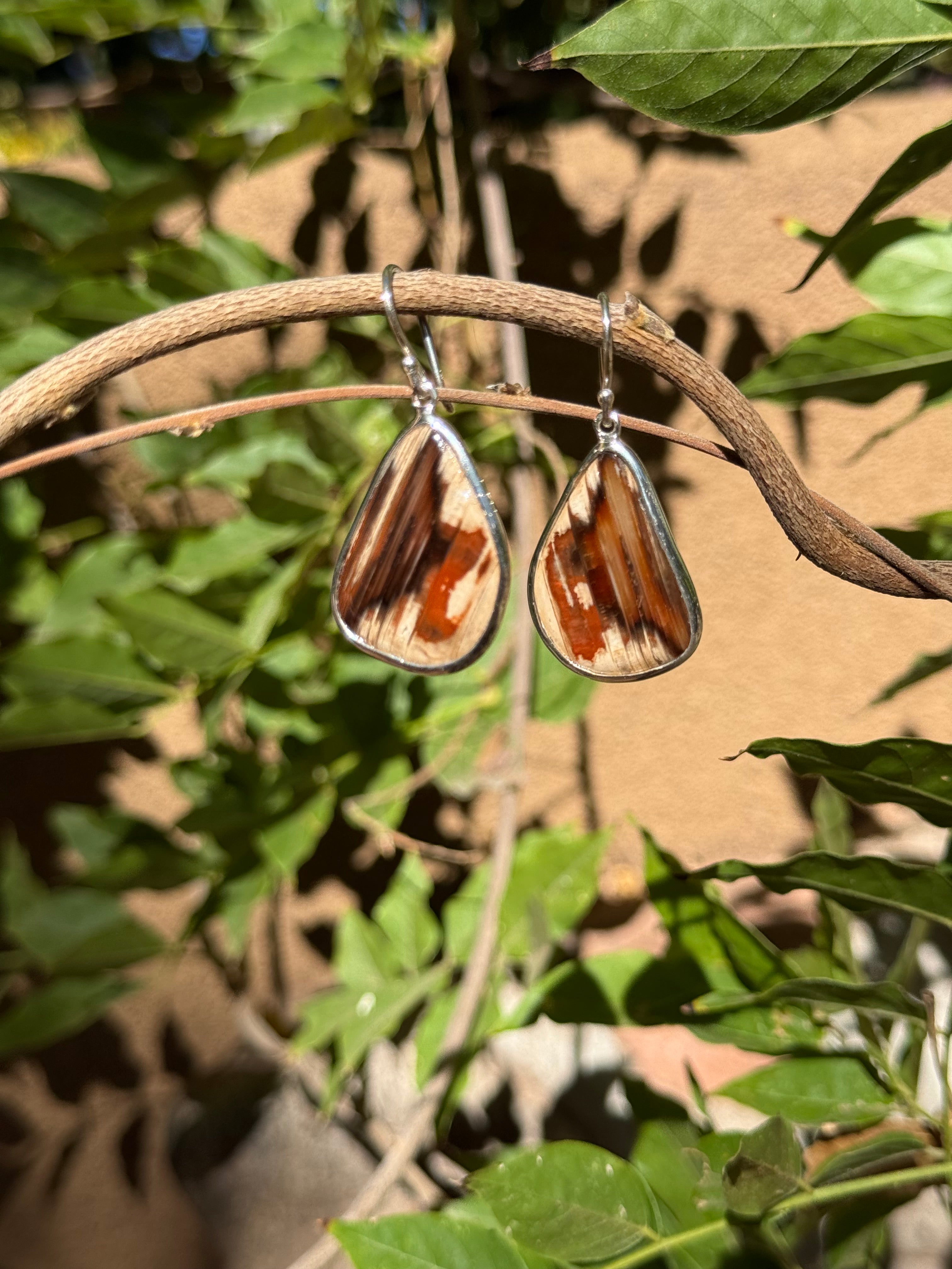 Starborn Royal Imperial Jasper Dangle Earrings in Sterling Silver