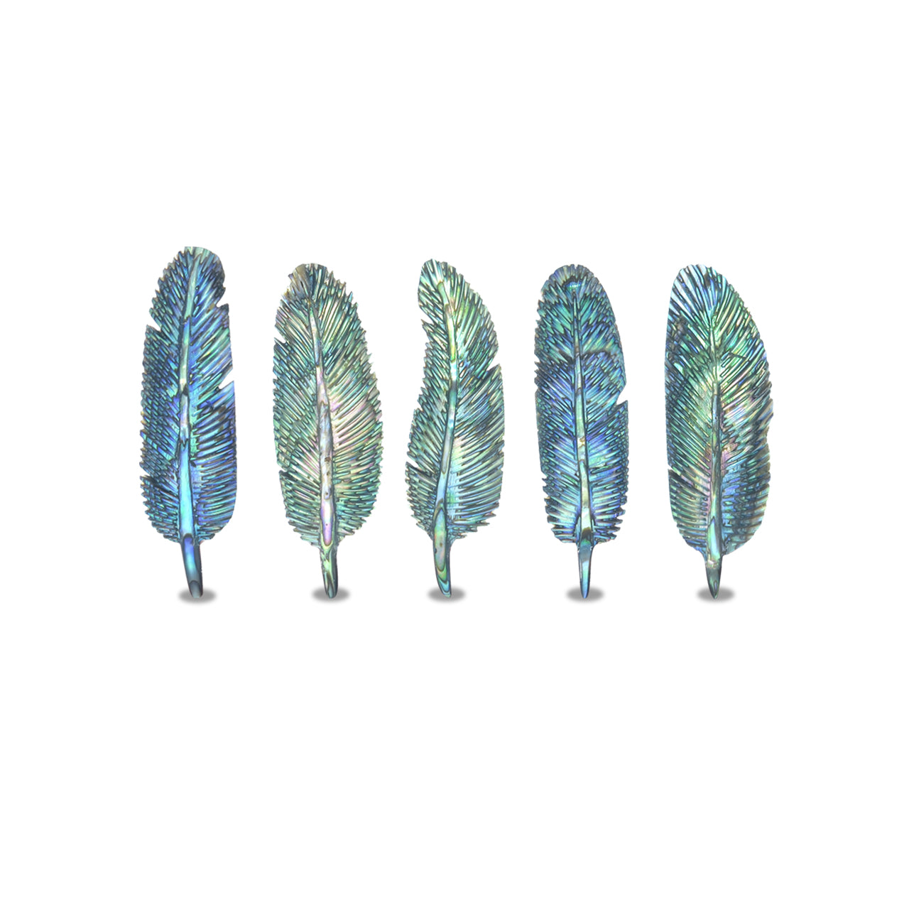 Starborn Abalone Shell Feather Carving - 1 Piece