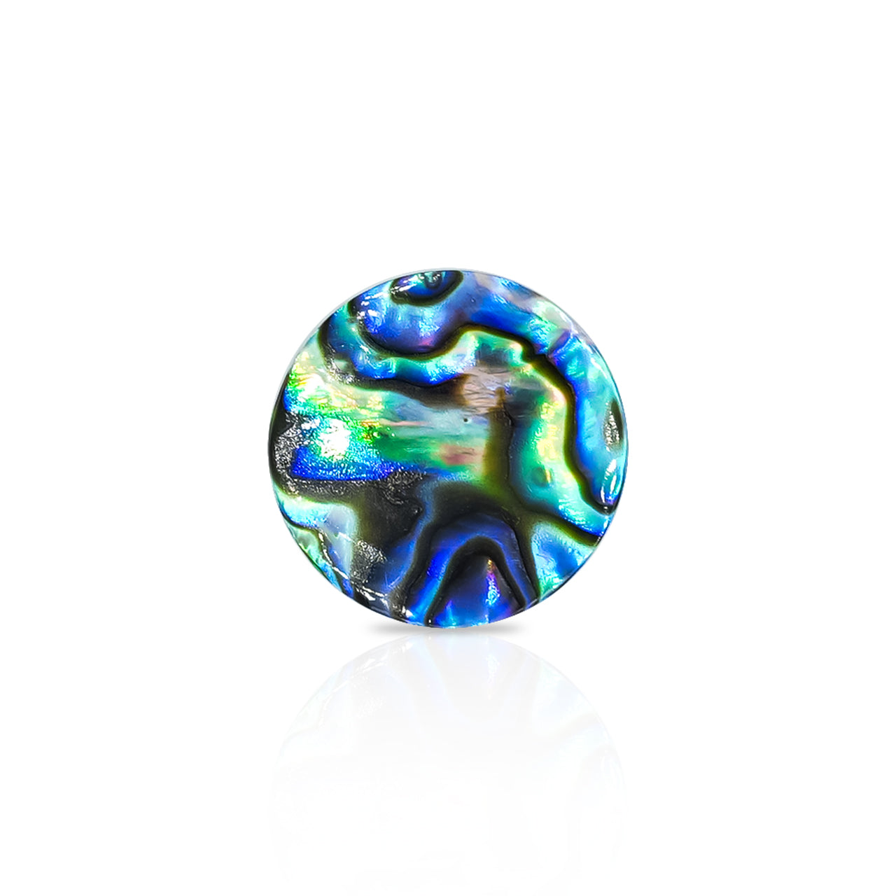 Starborn Abalone Shell Round Cabochon - 1 Piece