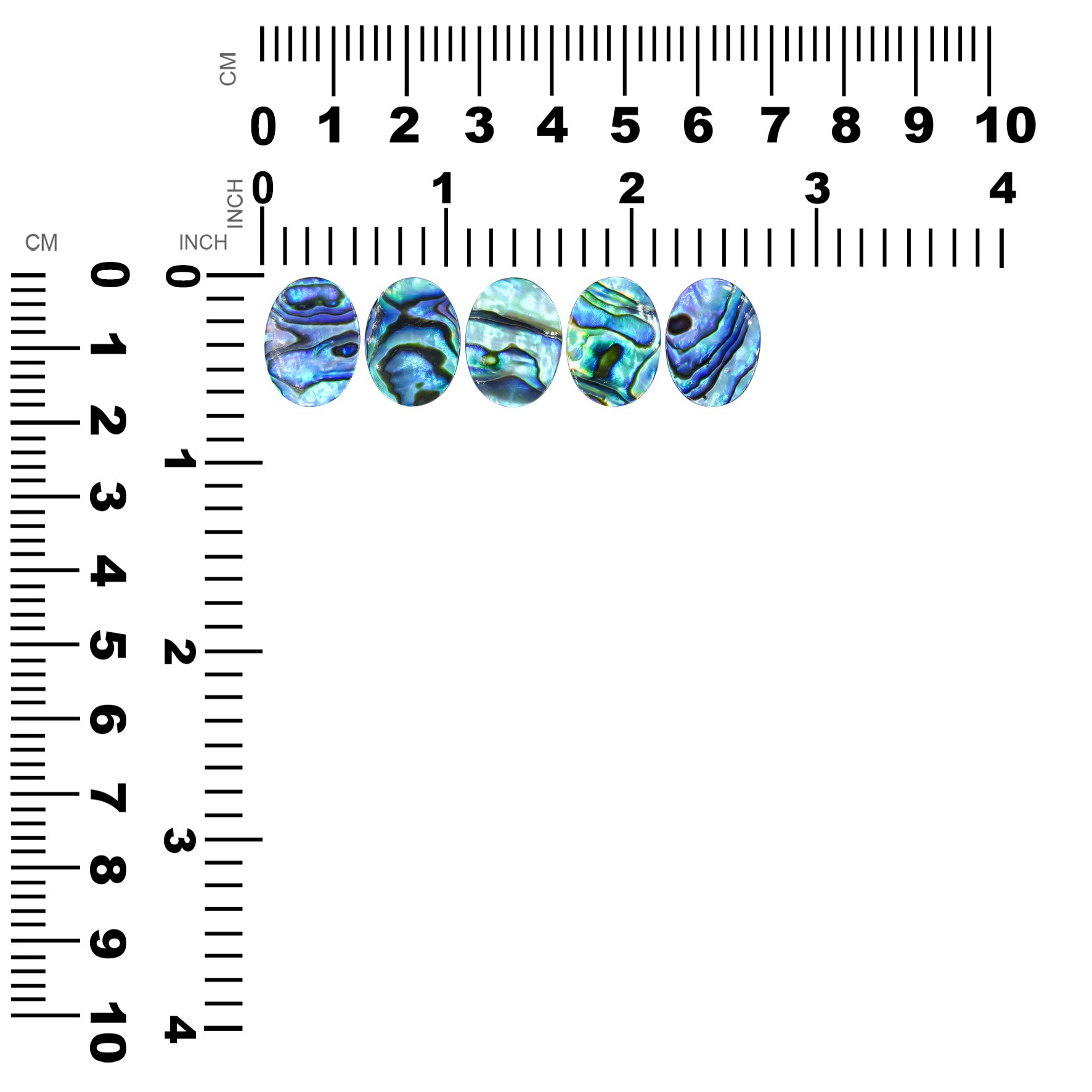 Starborn Abalone Shell Oval Cabochon - 1 Piece