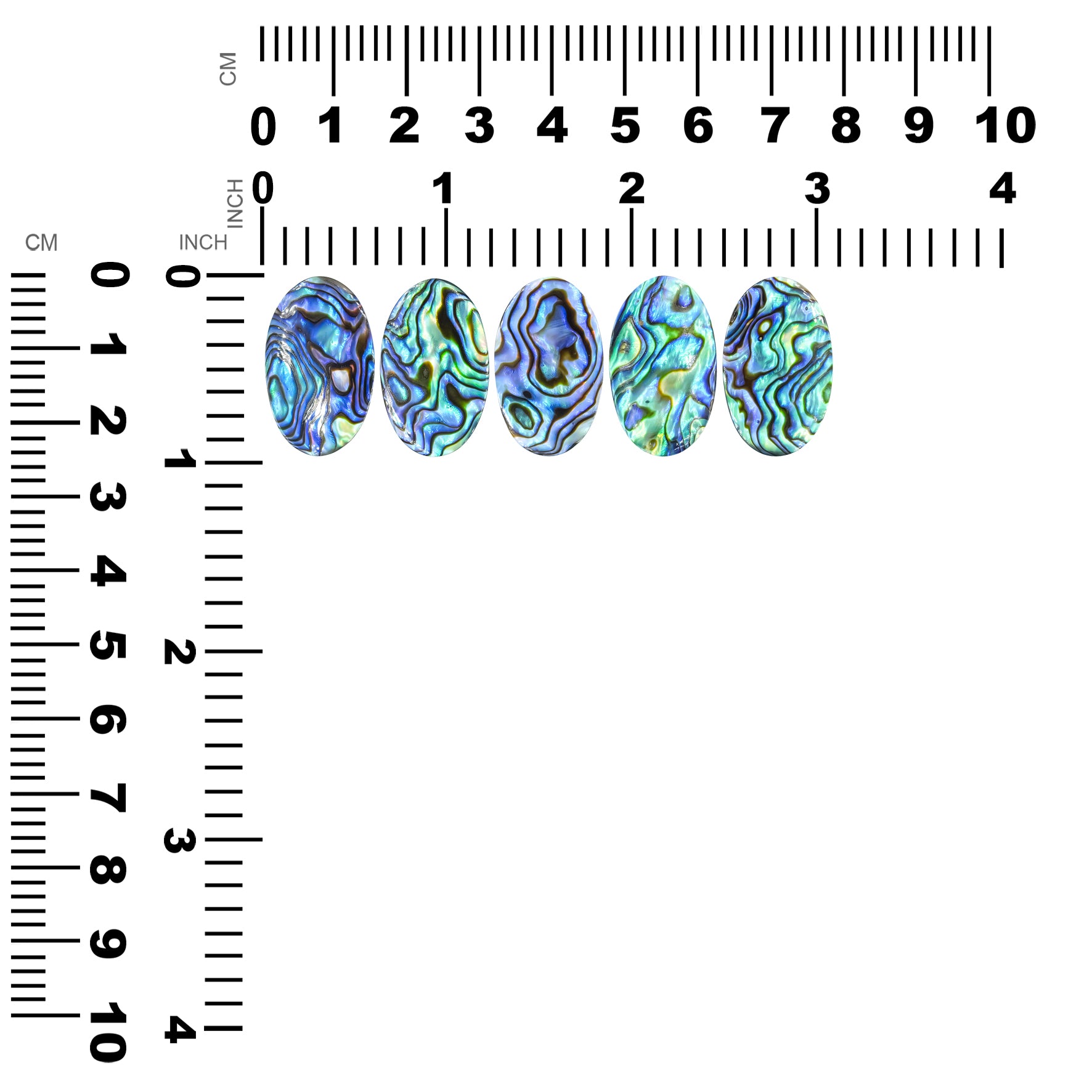 Starborn Abalone Shell Oval Cabochon - 1 Piece