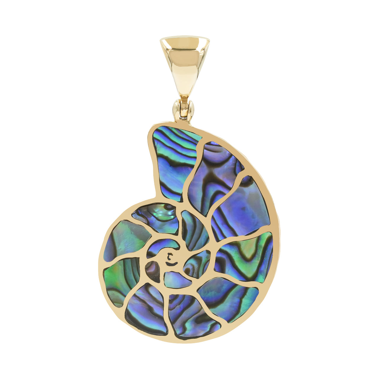 Starborn Abalone-Muschel-Nautilus-Ammonit-Anhänger