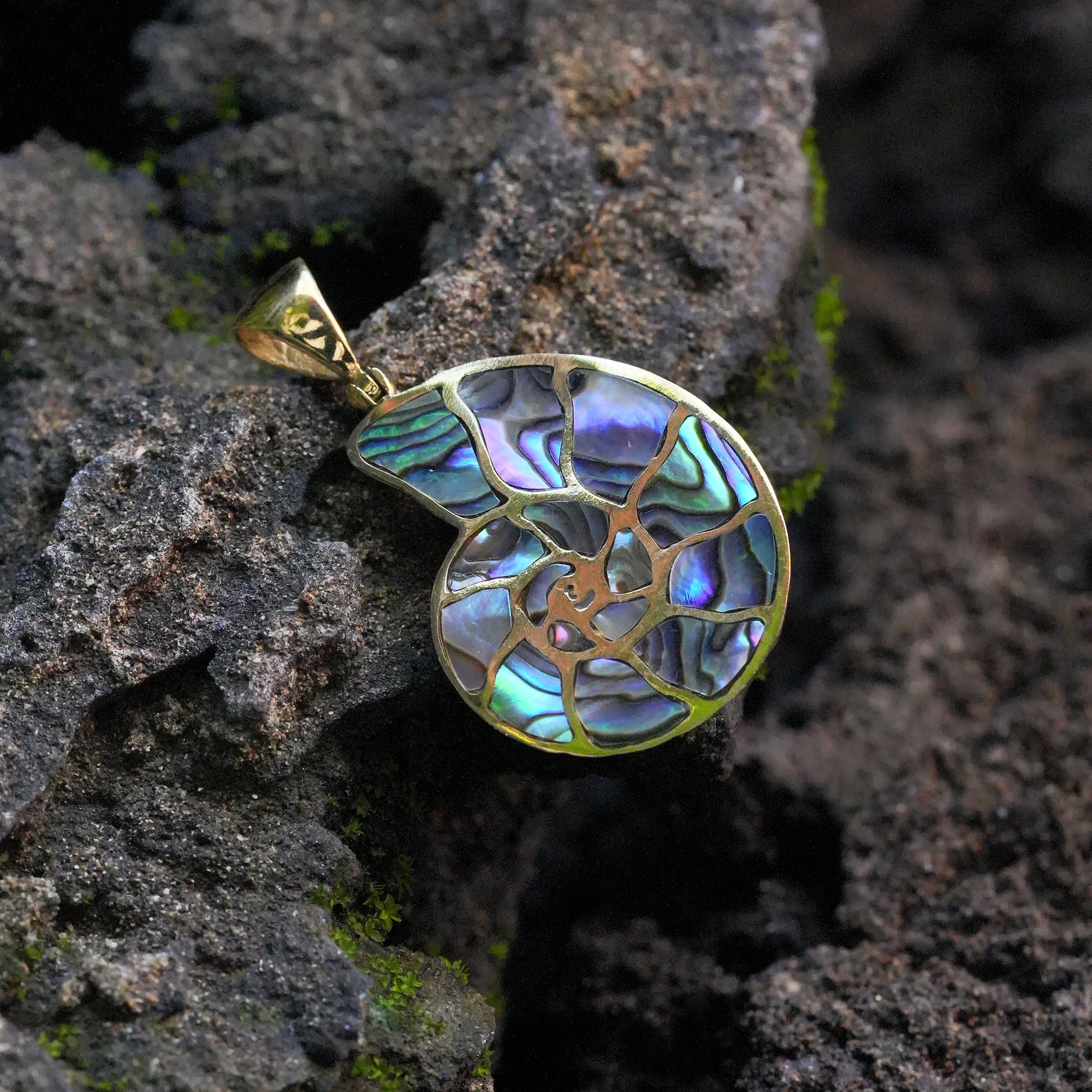 Starborn Abalone-Muschel-Nautilus-Ammonit-Anhänger