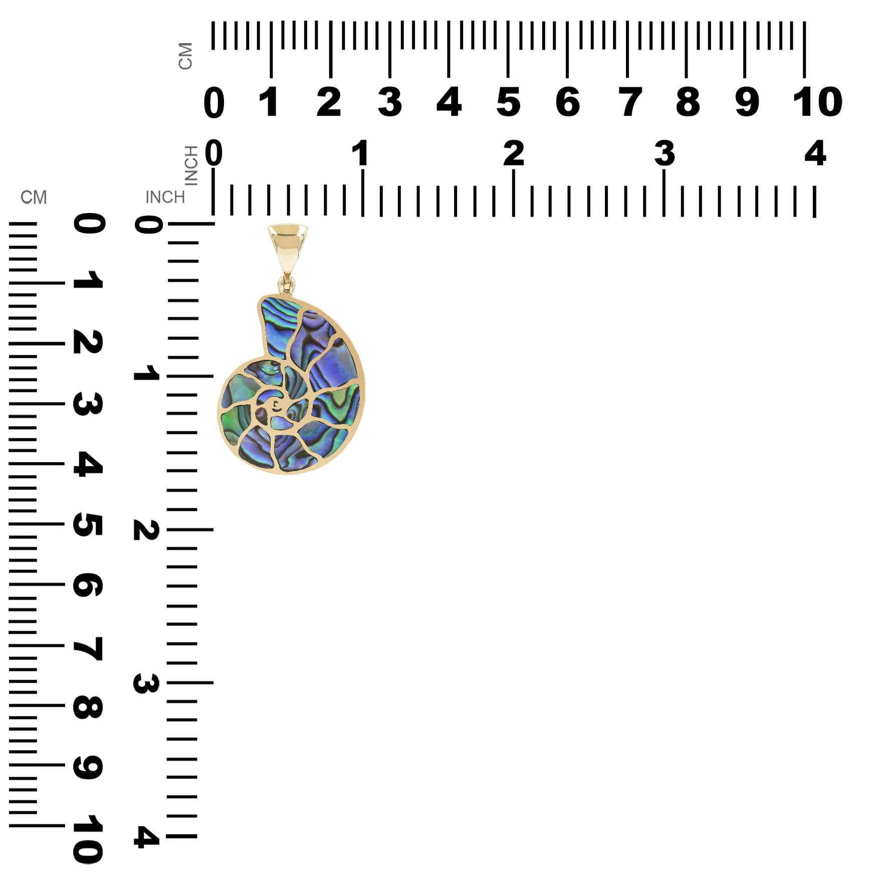Starborn Abalone-Muschel-Nautilus-Ammonit-Anhänger
