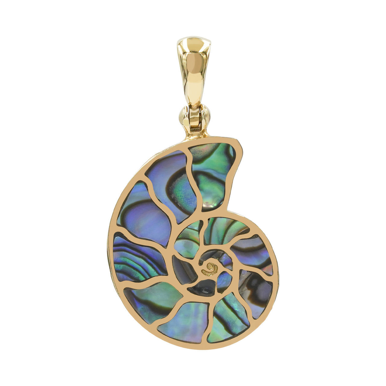 Starborn Abalone-Muschel-Nautilus-Ammonit-Anhänger