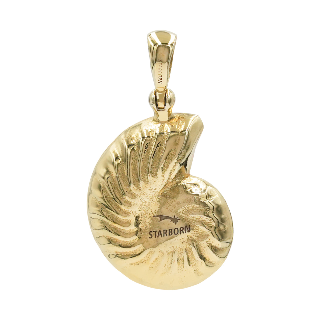 Starborn Abalone-Muschel-Nautilus-Ammonit-Anhänger