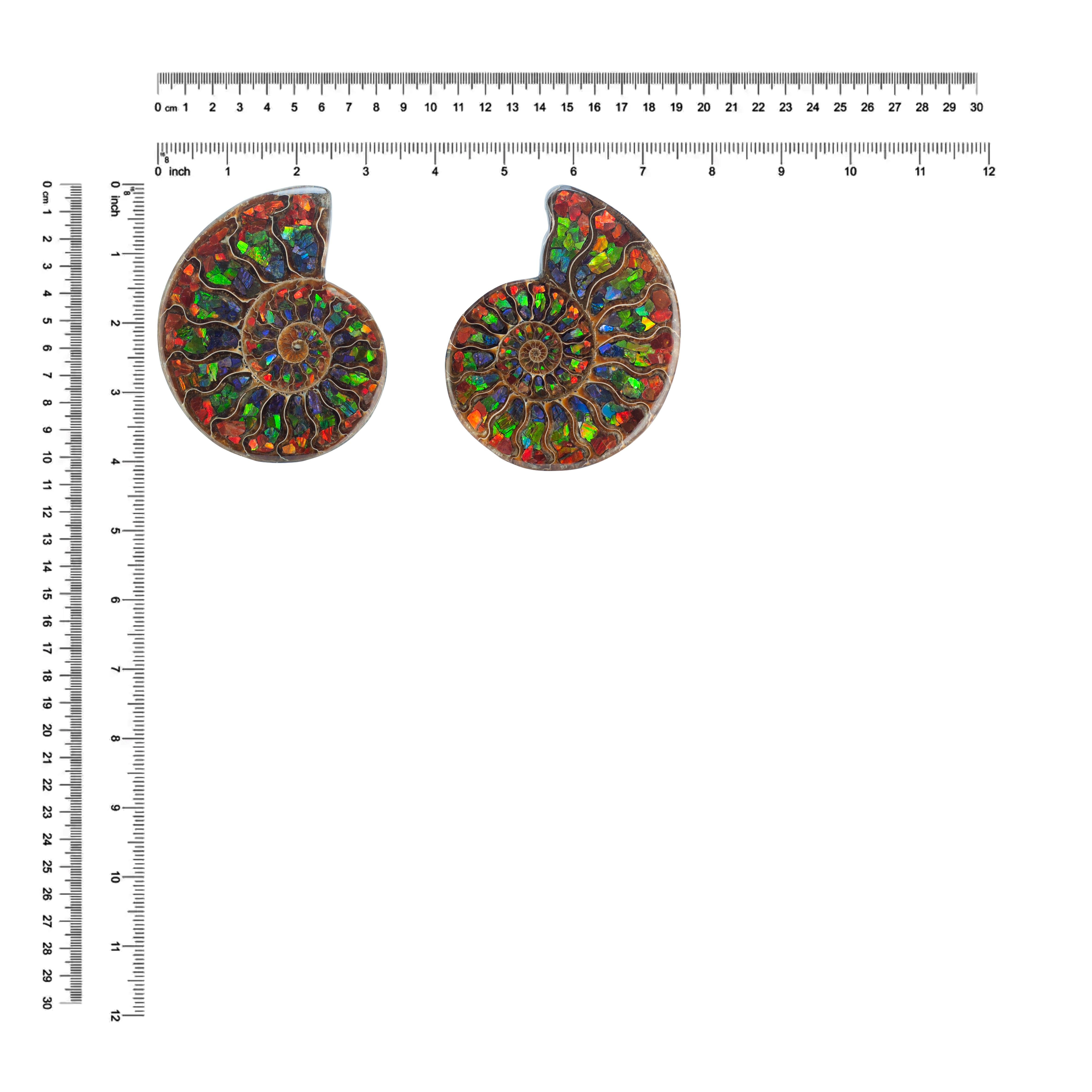 Mitad amonita Starborn con piedra de exhibición con incrustaciones de amolita 12 - 13 cm - 1 pieza