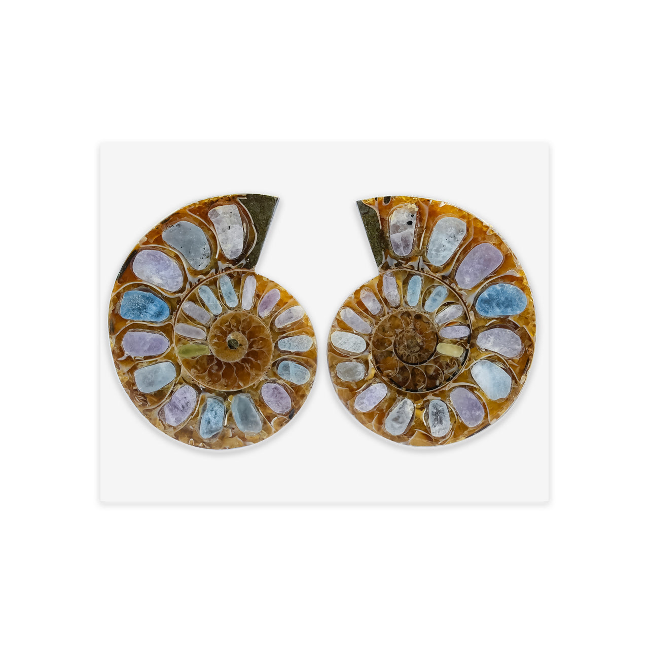 Ammonite Half with Fluorescent Hackmanite Inlay Cabochon 30-34 mm