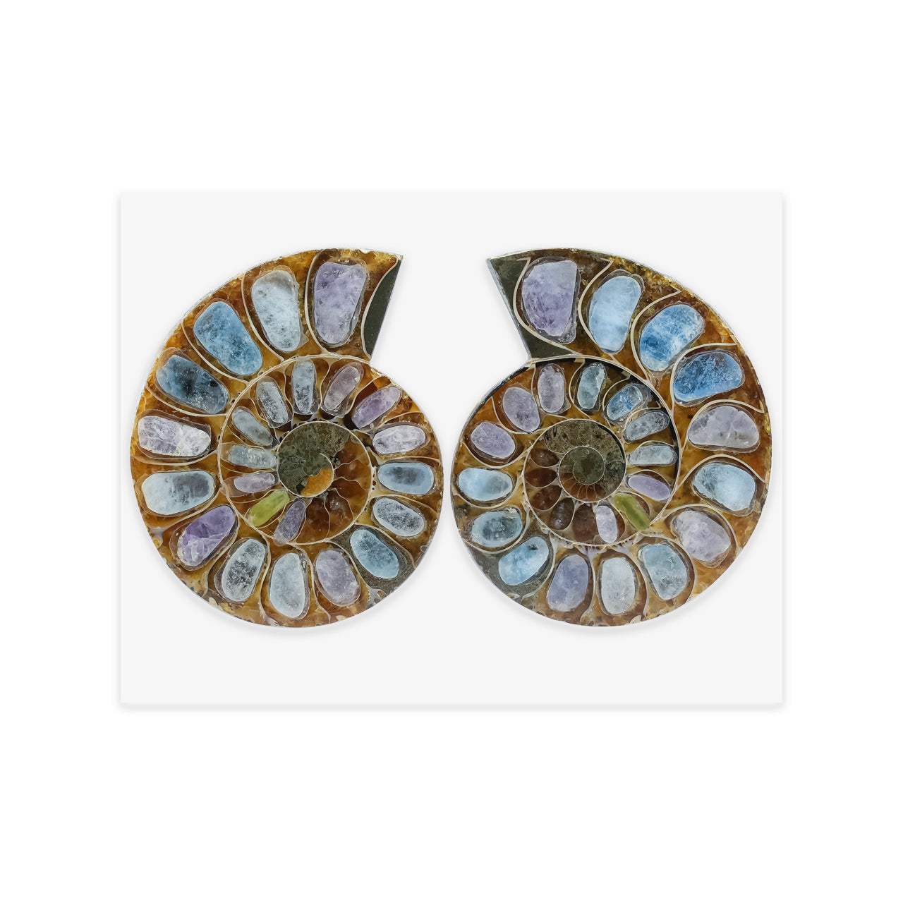 Ammonite Half with Fluorescent Hackmanite Inlay Cabochon 30-34 mm