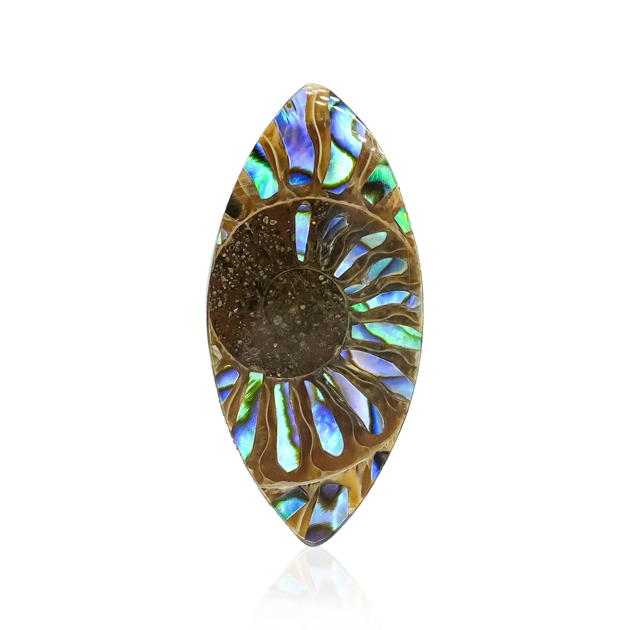 Ammonite with Abalone Shell Inlay 31x15 mm Marquise Cabochon