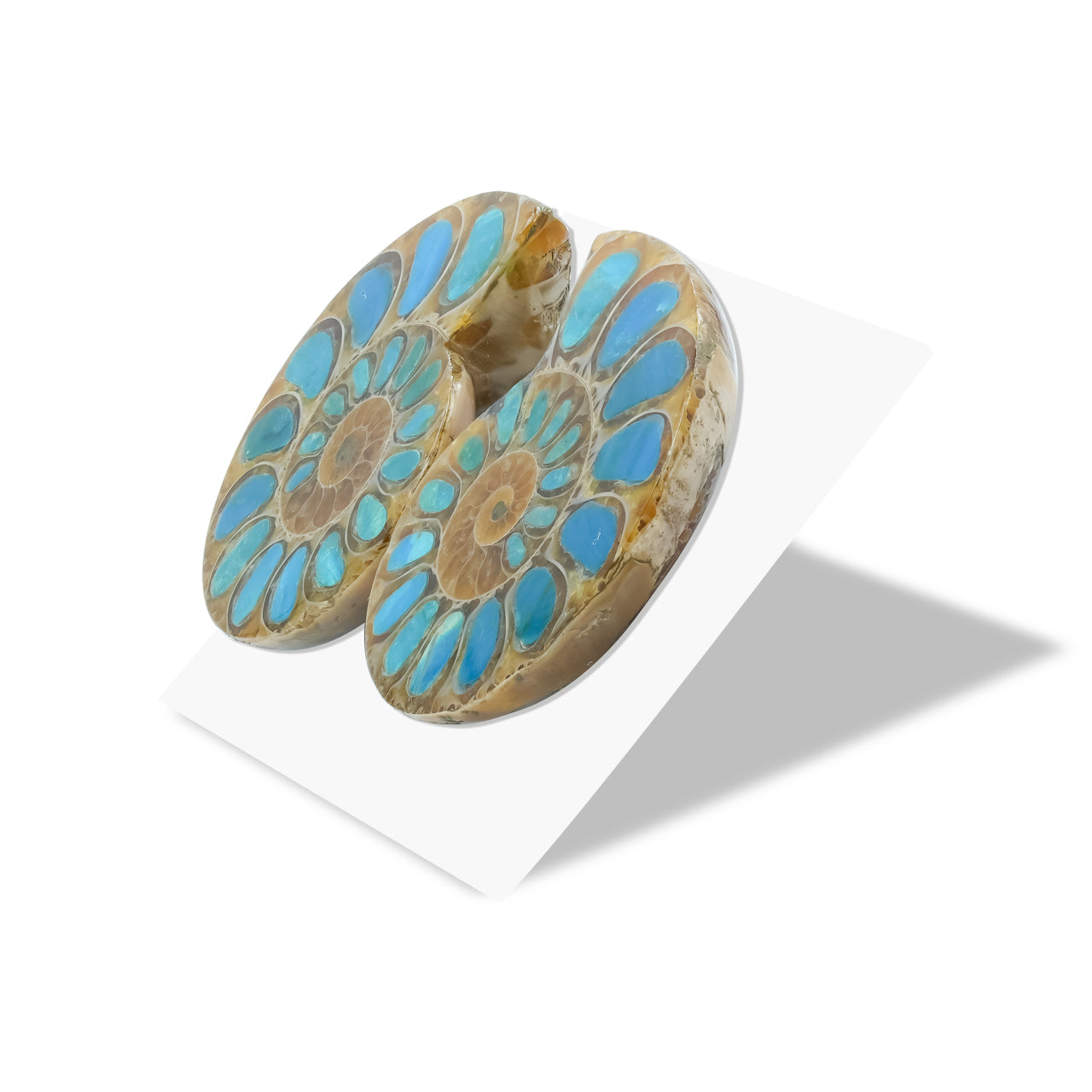 Starborn Ammoniten-Hälfte mit peruanischem Blau-Opal-Inlay-Cabochon (33-35mm) - 1 Paar