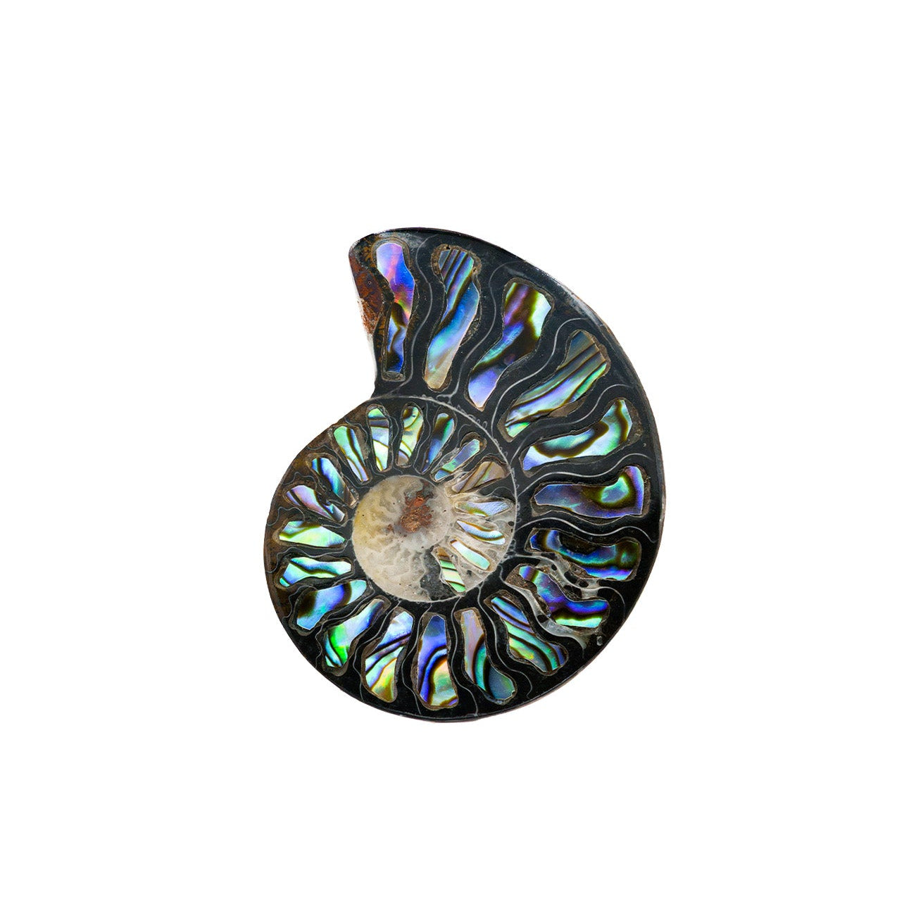 Starborn Ammonit Hälfte mit Abalone Inlay Cabochon 45-48mm - 1 Stück