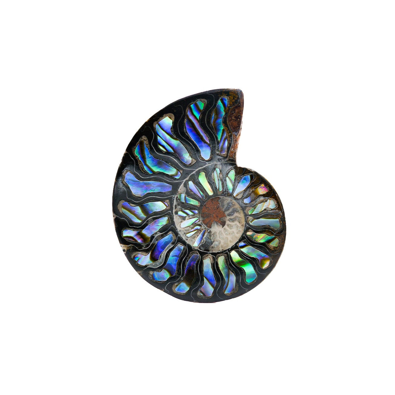 Starborn Ammonit Hälfte mit Abalone Inlay Cabochon 45-48mm - 1 Stück