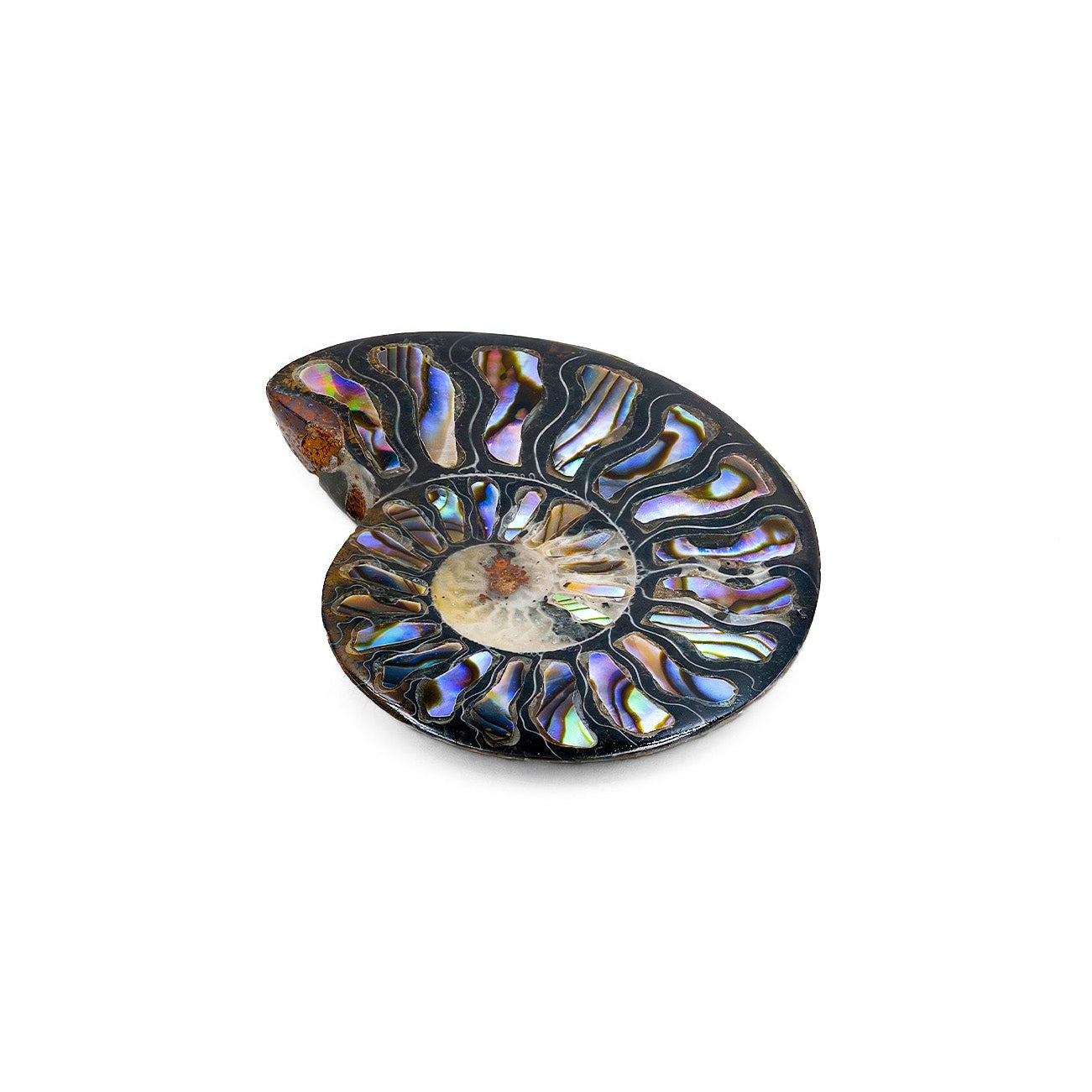 Starborn Ammonit Hälfte mit Abalone Inlay Cabochon 45-48mm - 1 Stück