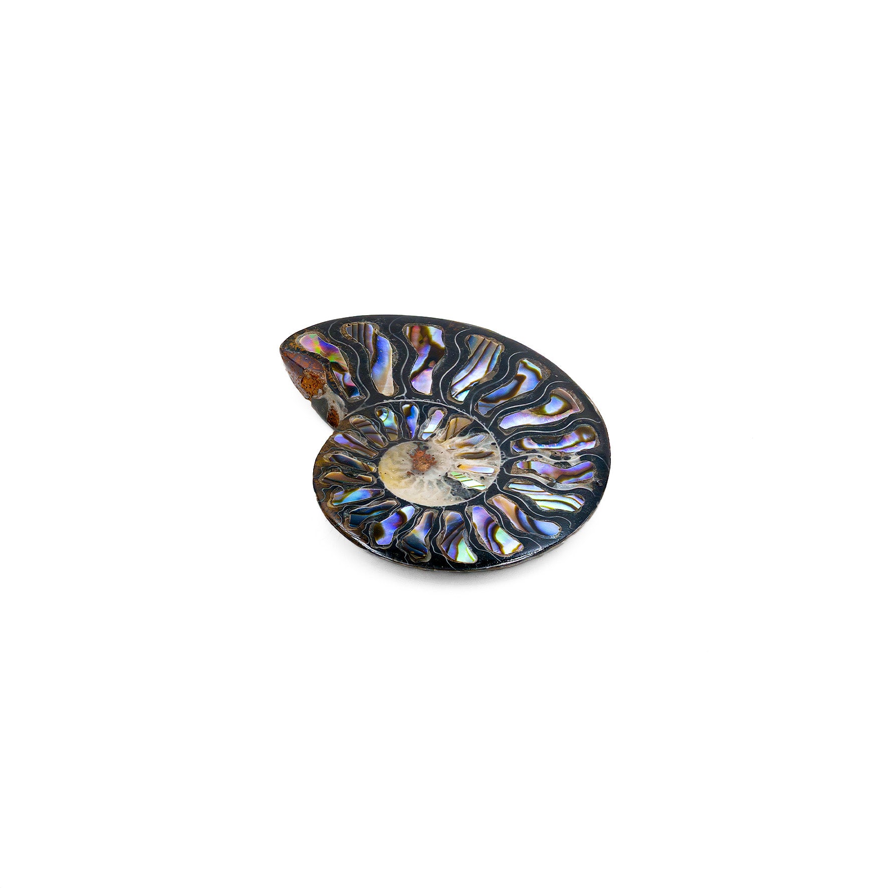 Starborn Ammonit Hälfte mit Abalone Inlay Cabochon 45-48mm - 1 Stück