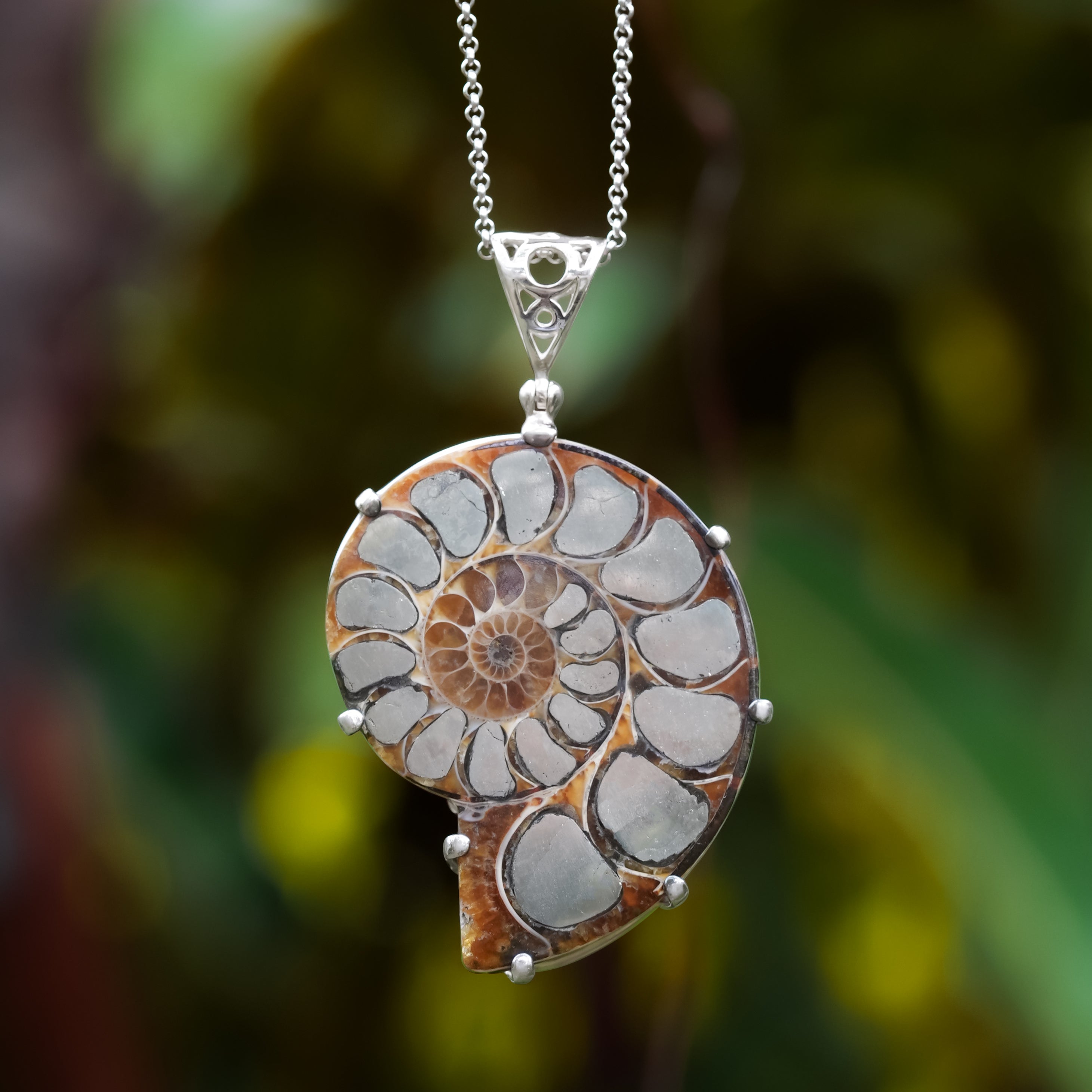 Starborn Pyrite Inlaid Ammonite Pendant with Sterling Silver Filigree Detail - Large