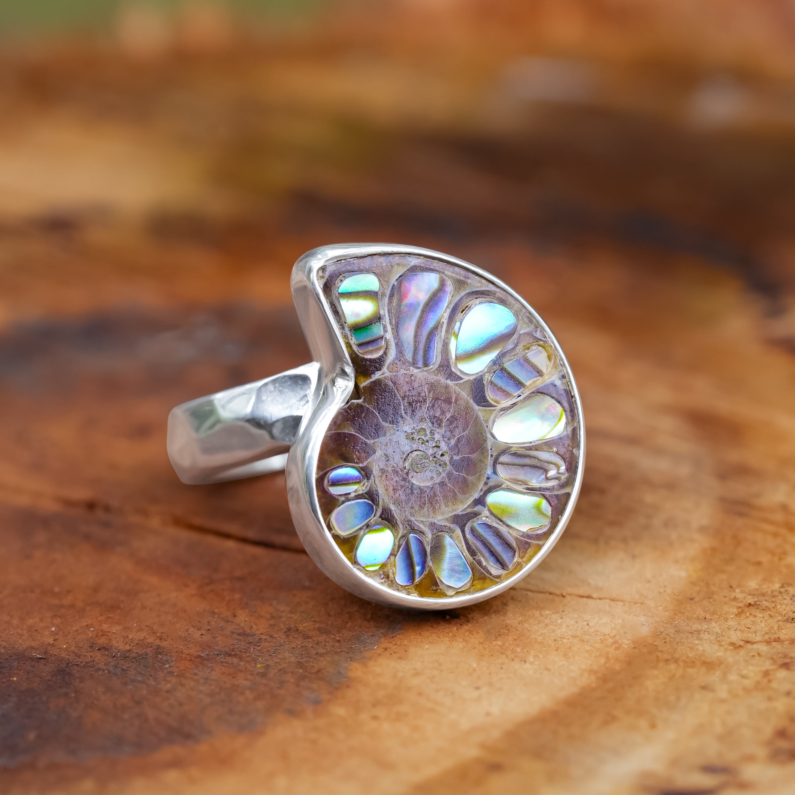 Starborn Ammonite with Abalone Shell Inlay Ring in Sterling Silver