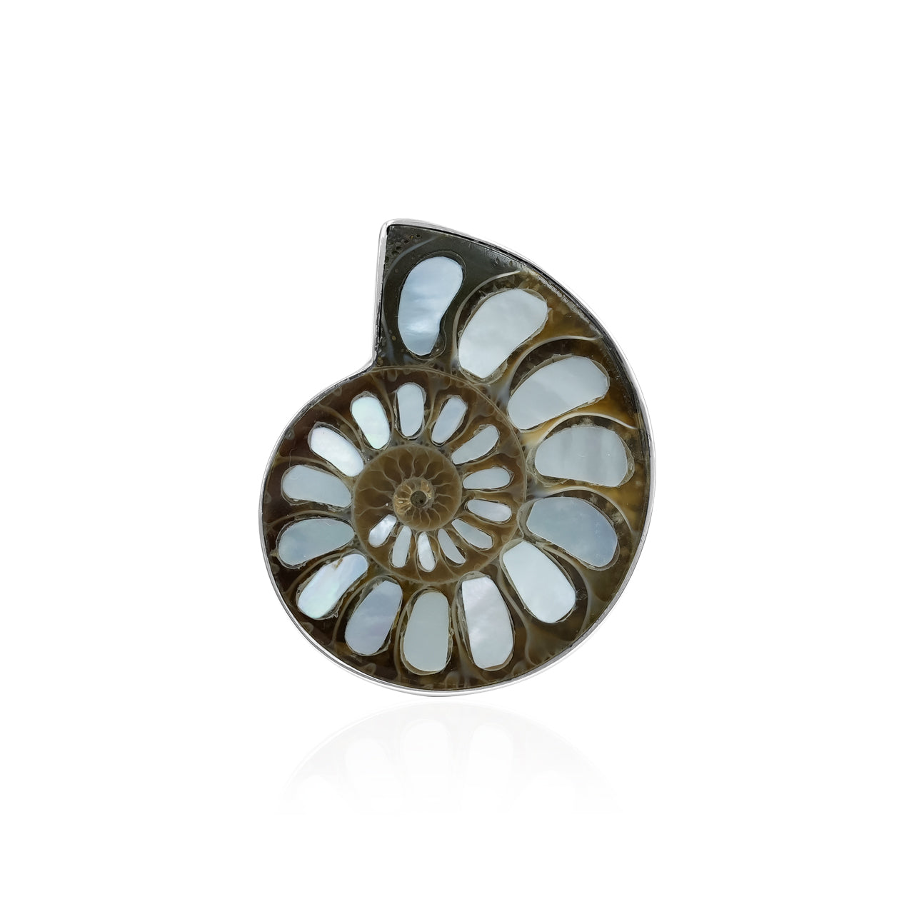 Front‑view image of an Ammonite with Mother of Pearl Inlay ring showing the fossil spiral pattern with light reflective shell segments set in a polished silver band.