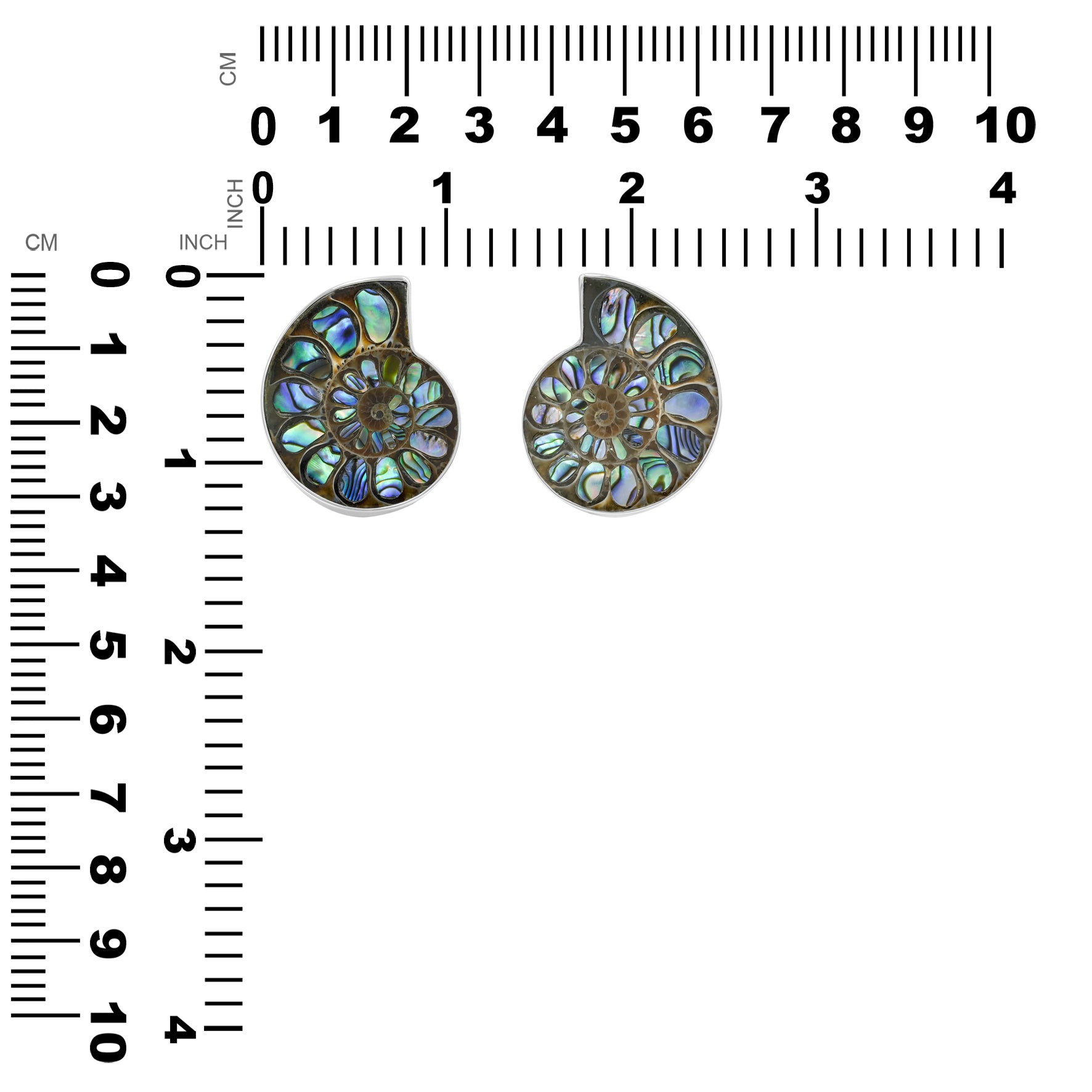 Starborn Ammonite with Abalone Shell Inlay Ring in Sterling Silver