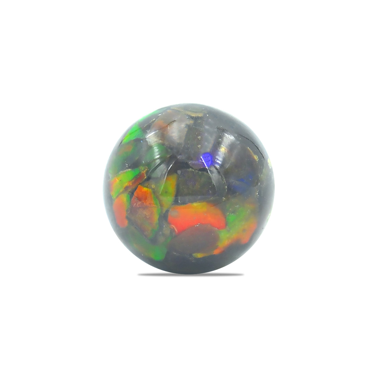 Starborn Ammolite Bead with Drilled Hole
