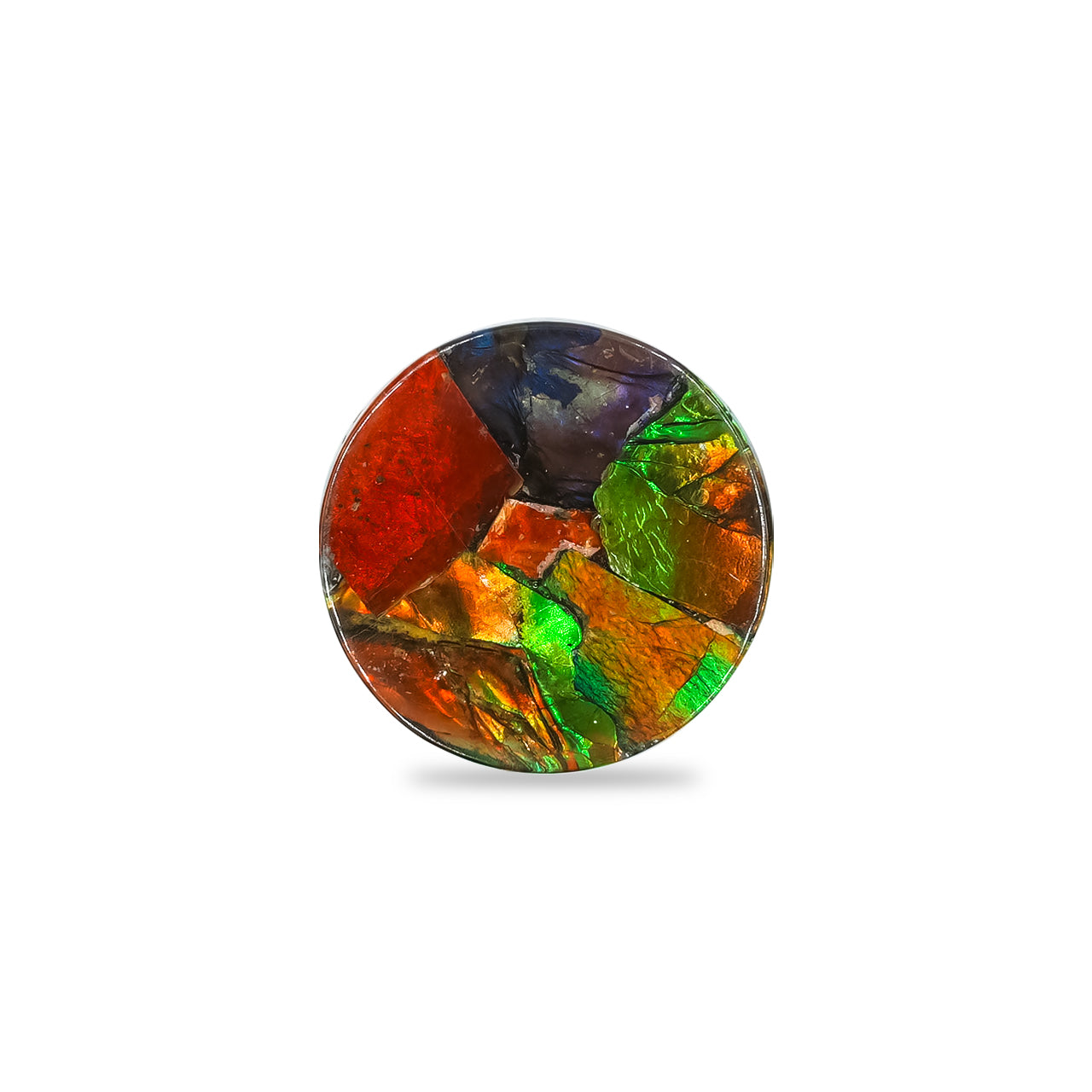Starborn Ammolite Round Cabochon 15 mm, 1 Piece