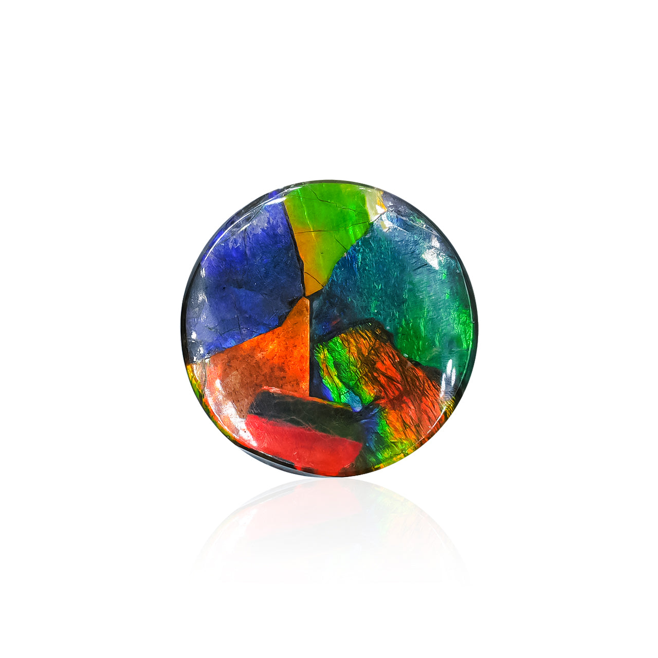 Starborn Ammolite Round Cabochon 15 mm, 1 Piece