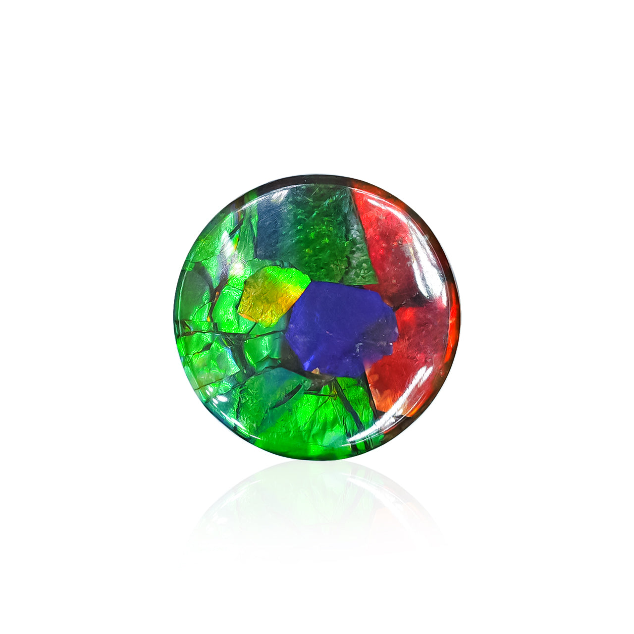 Starborn Ammolite Round Cabochon 15 mm, 1 Piece