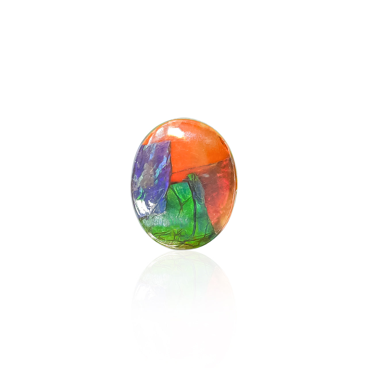 Starborn Multicolored Ammolite Oval Cabochon 12mm/15mm (1 Piece)