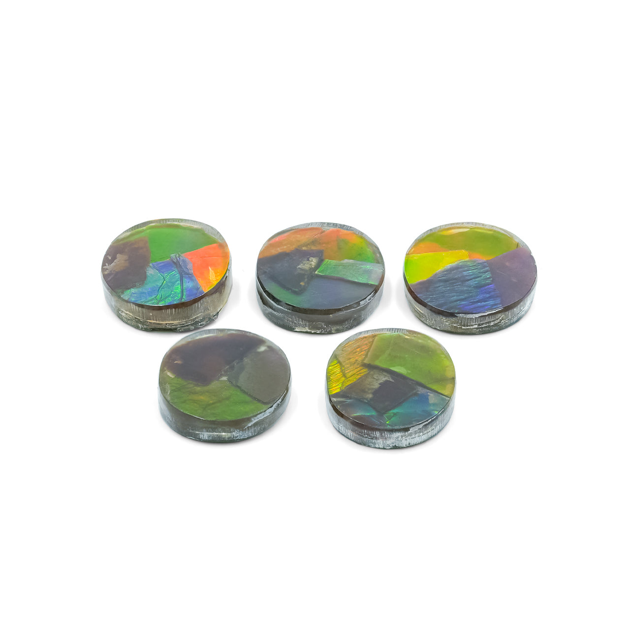 Starborn Ammolite Oval Cabochon, 1 Piece