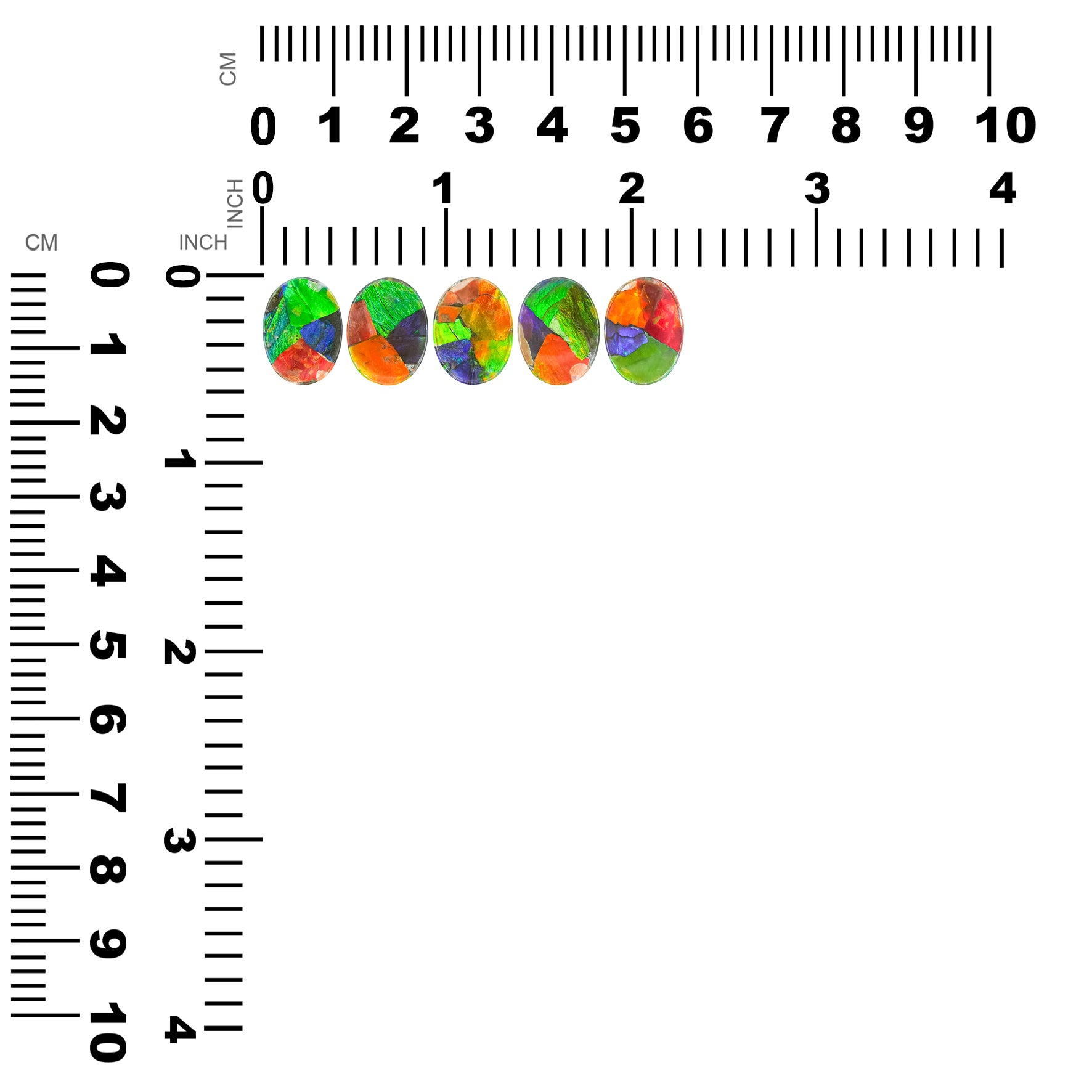 Starborn Multicolored Ammolite Oval Cabochon 12mm/15mm (1 Piece)