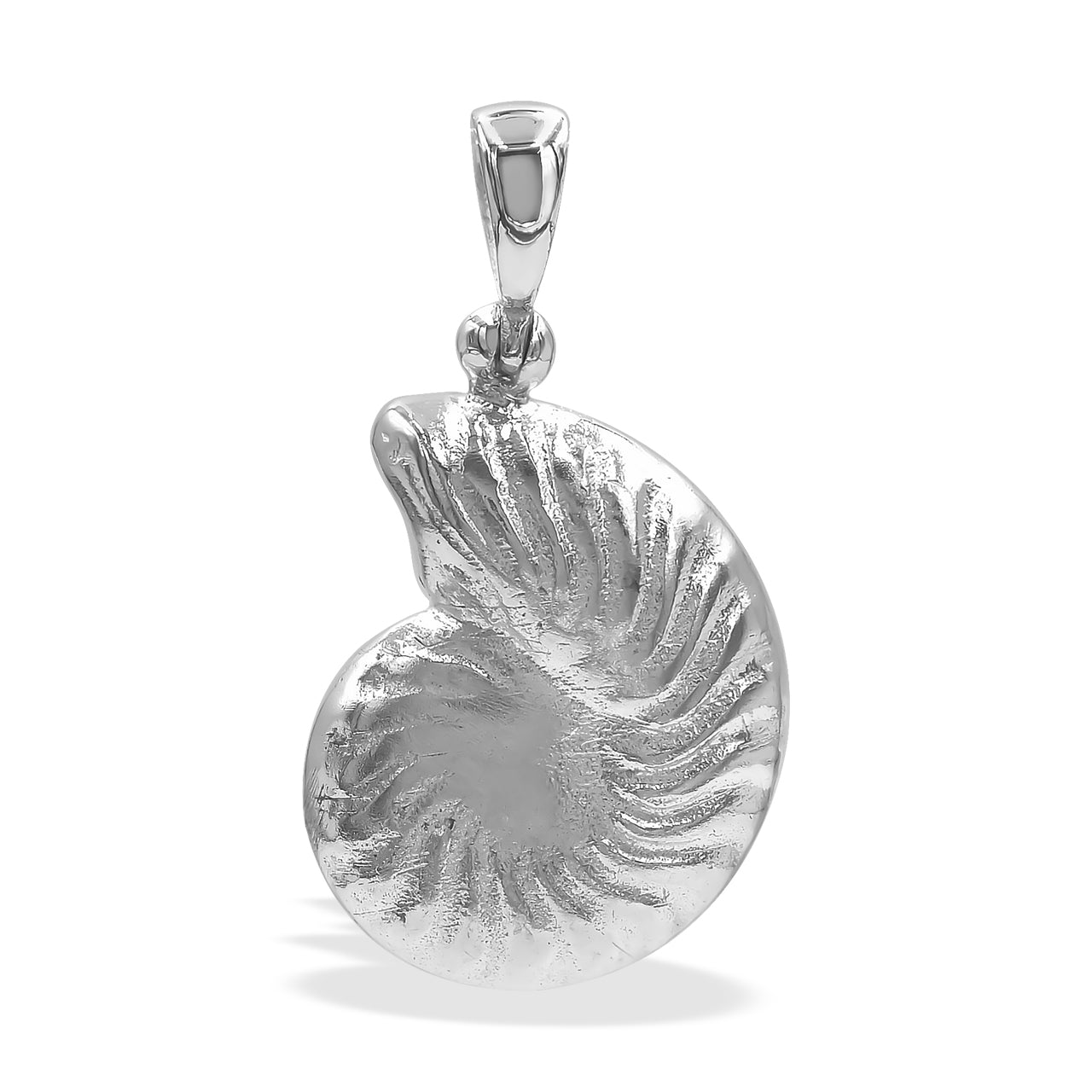 Starborn Ammolite Nautilus Pendant in Sterling Silver