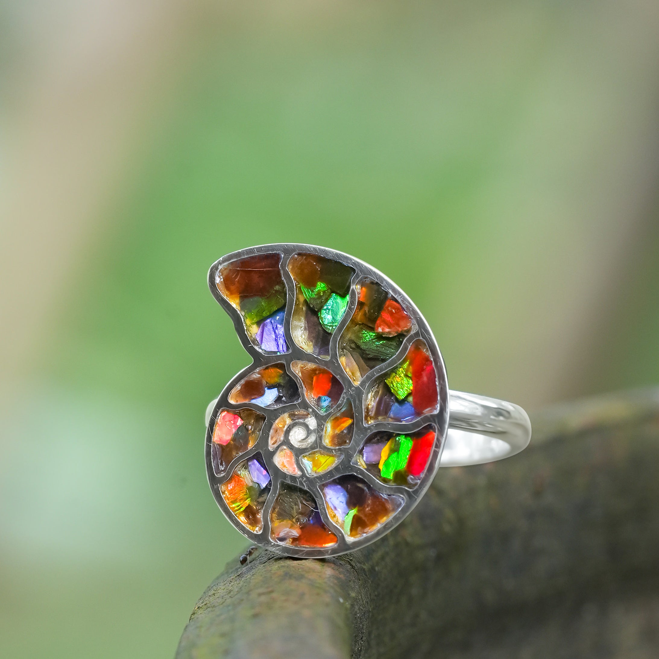 Starborn Ammolite Nautilus Ring in Sterling Silver