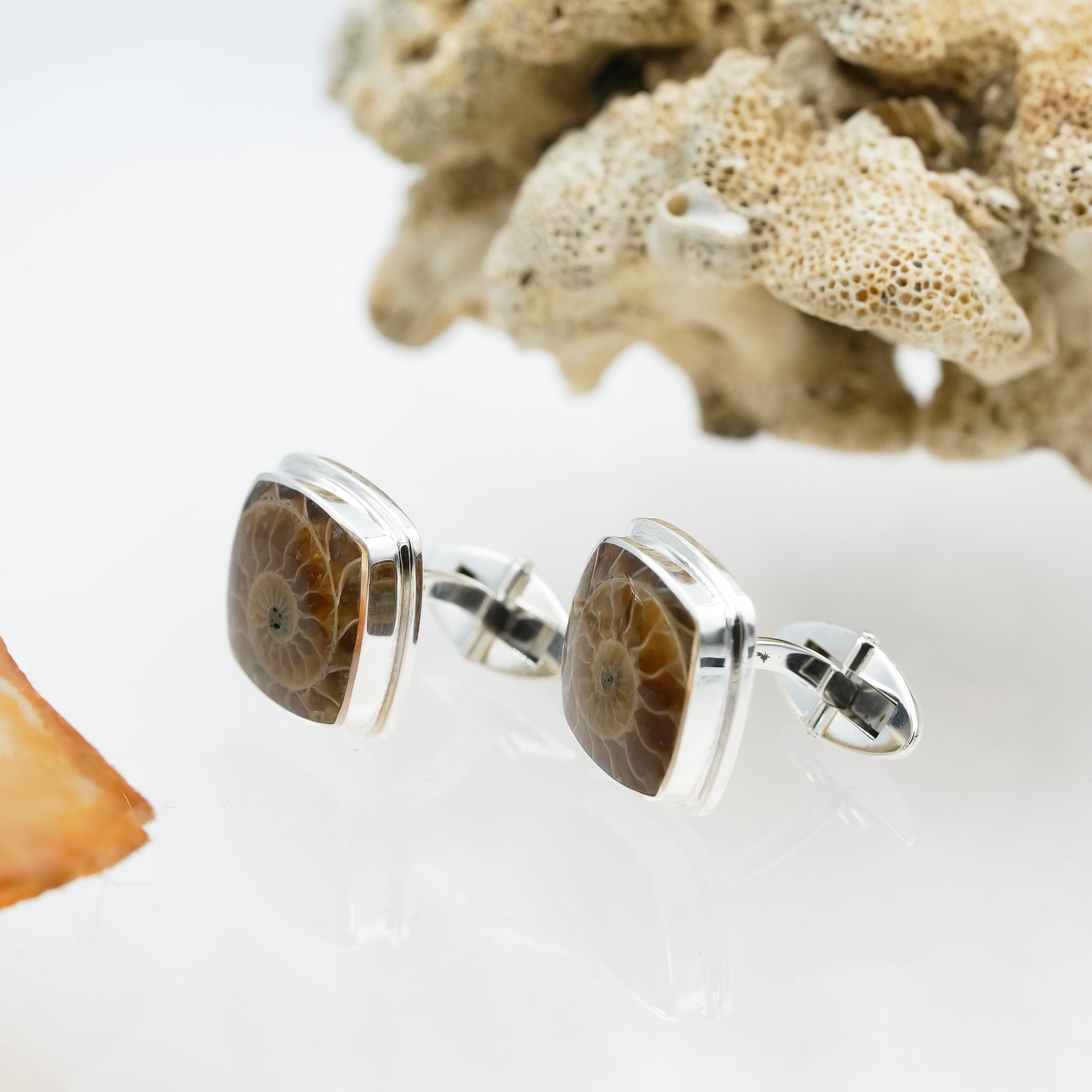 Starborn Sterling Silver Cushion-Cut Fossilized Ammonite Cuff Links