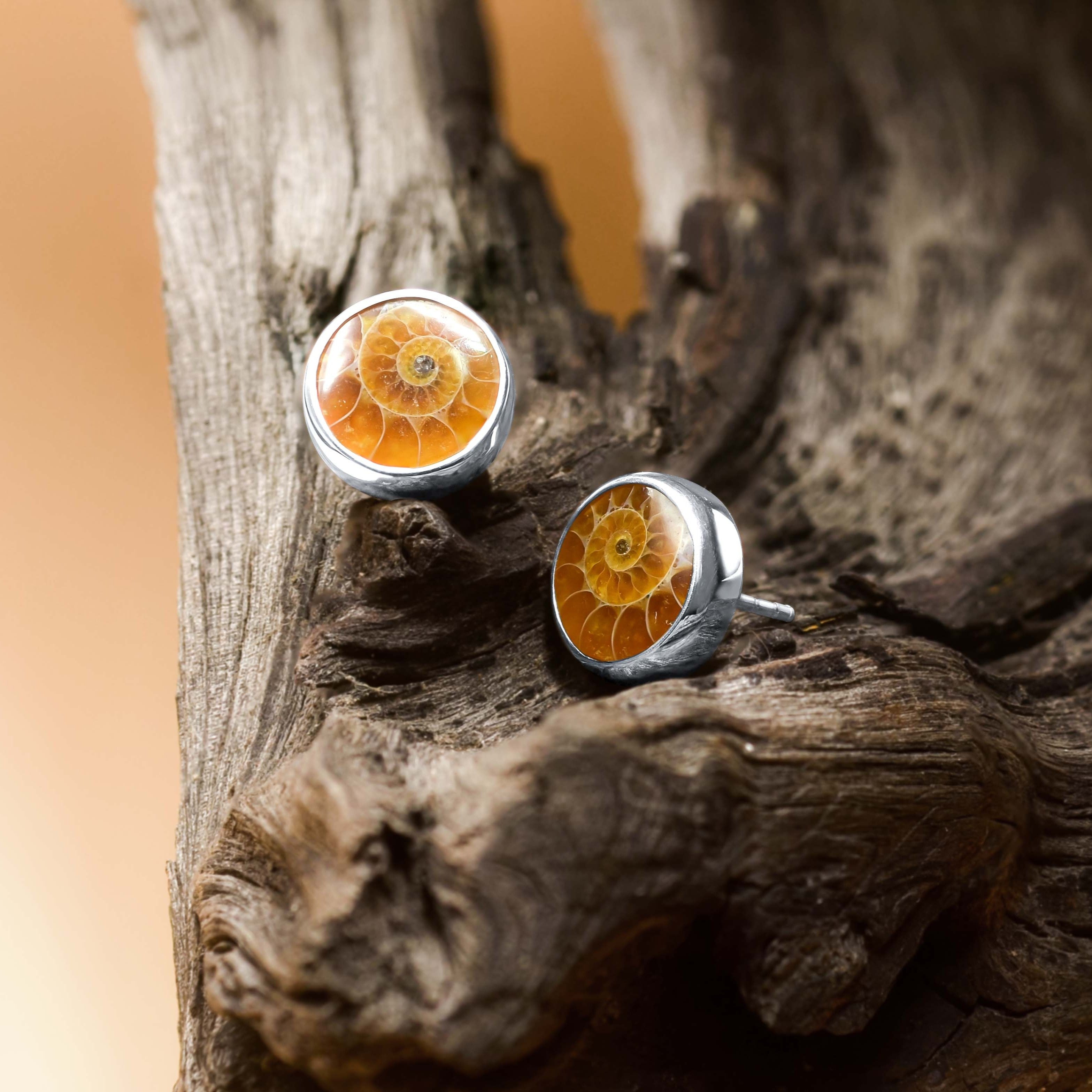 Aretes con forma de poste redondo de amonita fósil de Starborn en plata de ley