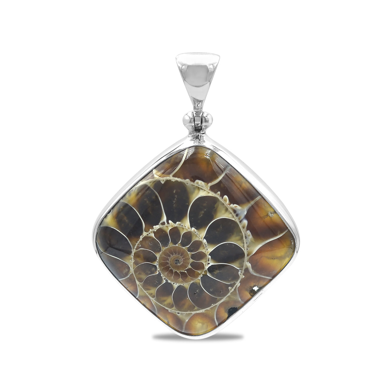 Second front view of a fossilized ammonite square pendant showing the spiral chamber details within the silver setting.