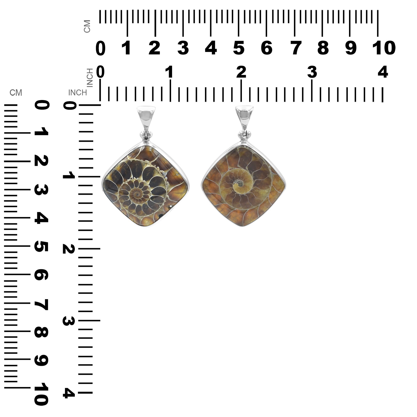 Pairs of Ammonite pendants next to measurement chart showing height and width in centimeters and inches