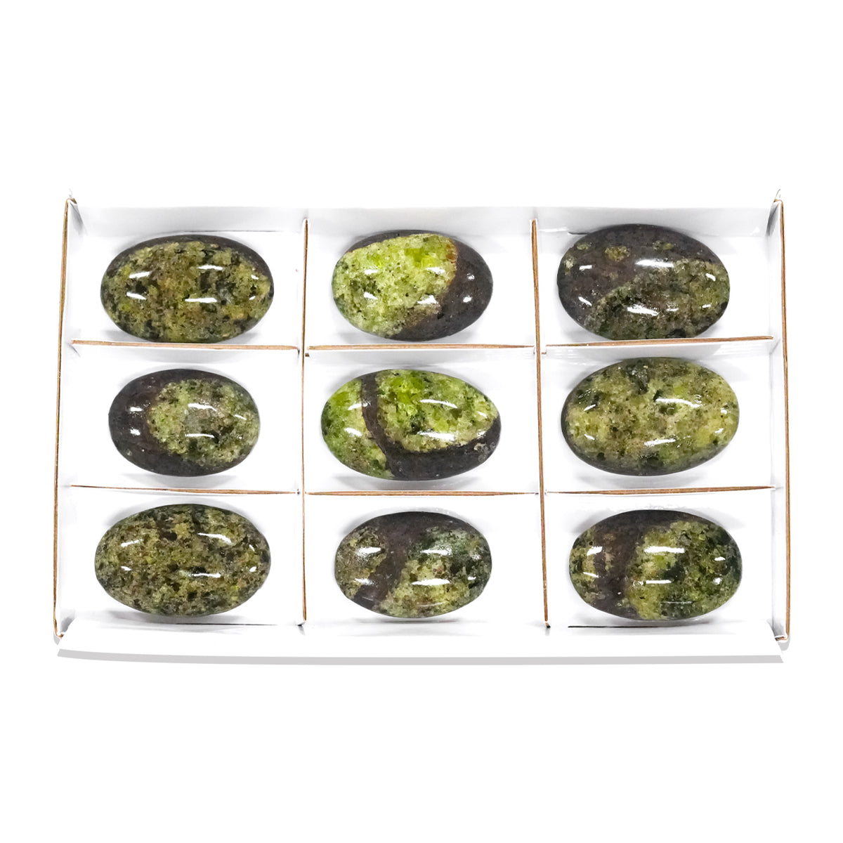 Arizona Peridot Palm Stone 350 grams - 9 Pieces