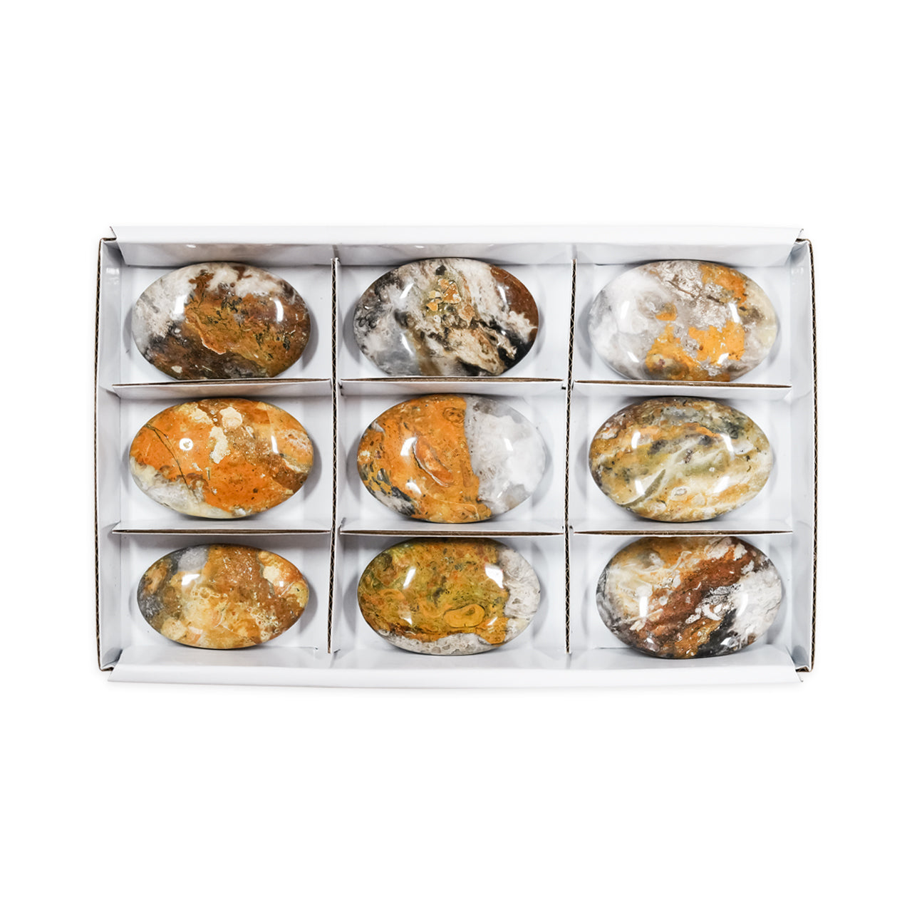 Front-facing view of a sturdy, flat rectangular box with a clear lid, divided into nine sections, each holding an oval, polished bumblebee jasper stone with natural yellow, orange, gray, and black patterning.