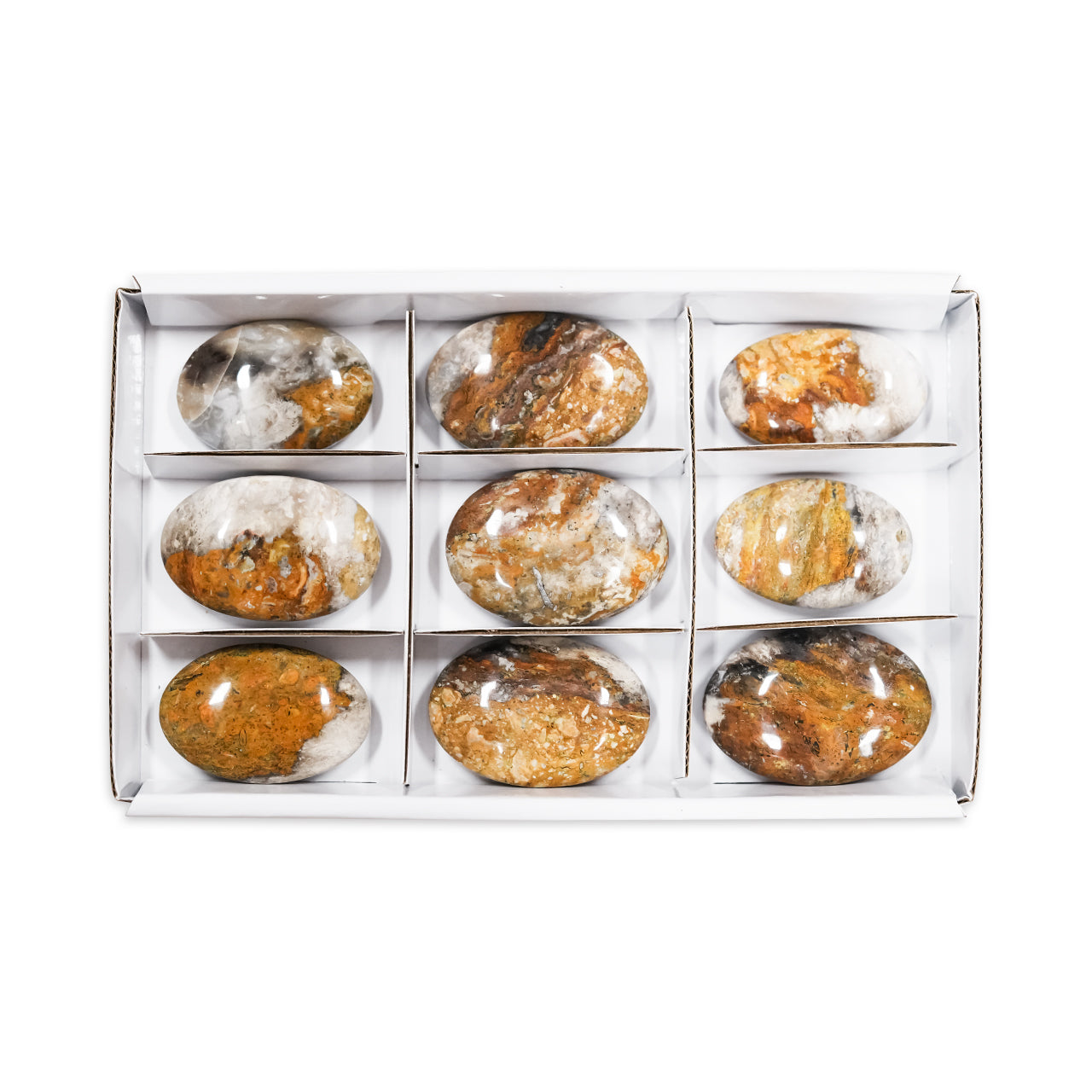 Second front-facing view of a sturdy, flat rectangular box with a clear lid, divided into nine sections, each holding an oval, polished bumblebee jasper stone with natural yellow, orange, gray, and black patterning, showcasing variations.