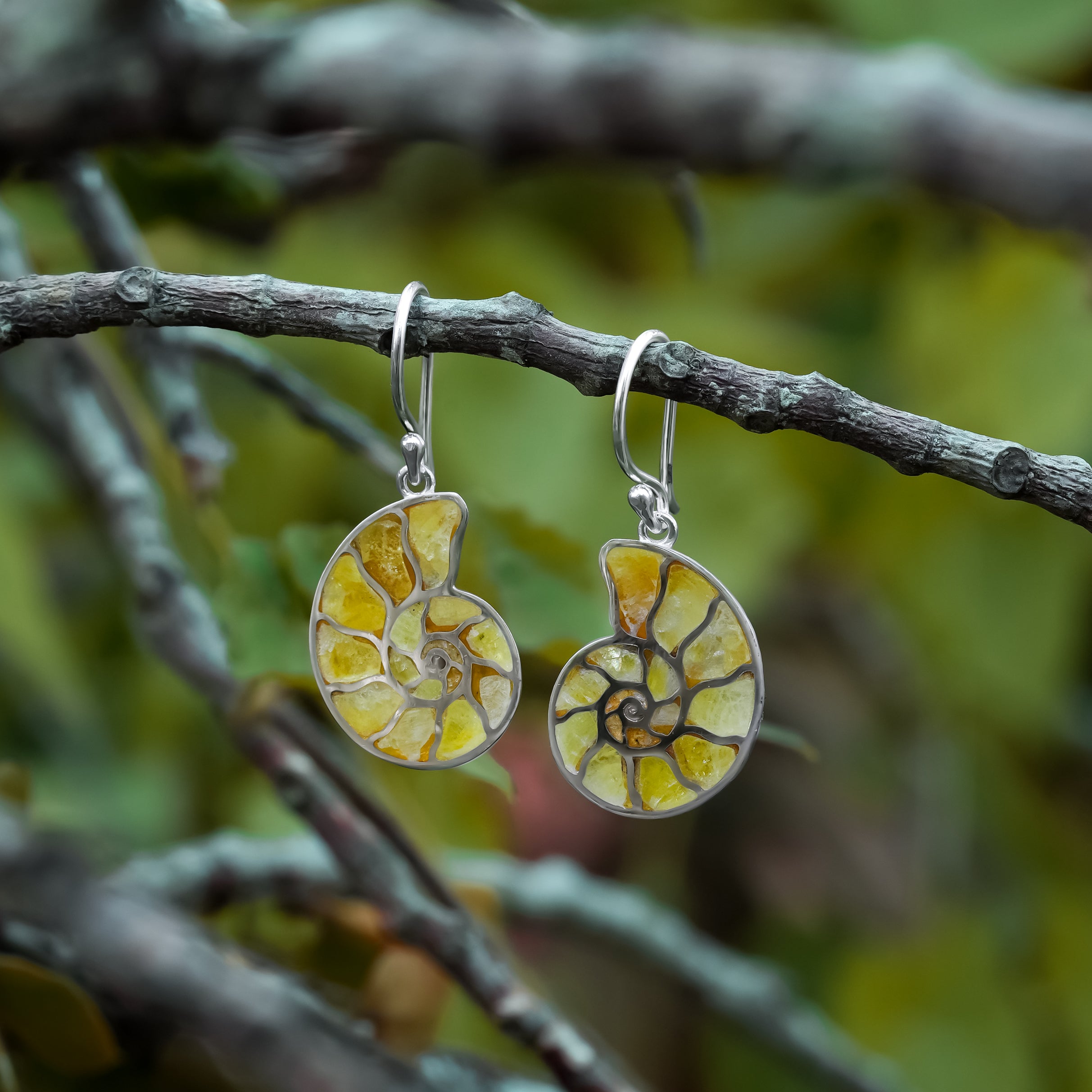 Starborn Ohrring aus Sterlingsilber mit Nautilus-Ammonit und Edelsteineinlage, klein