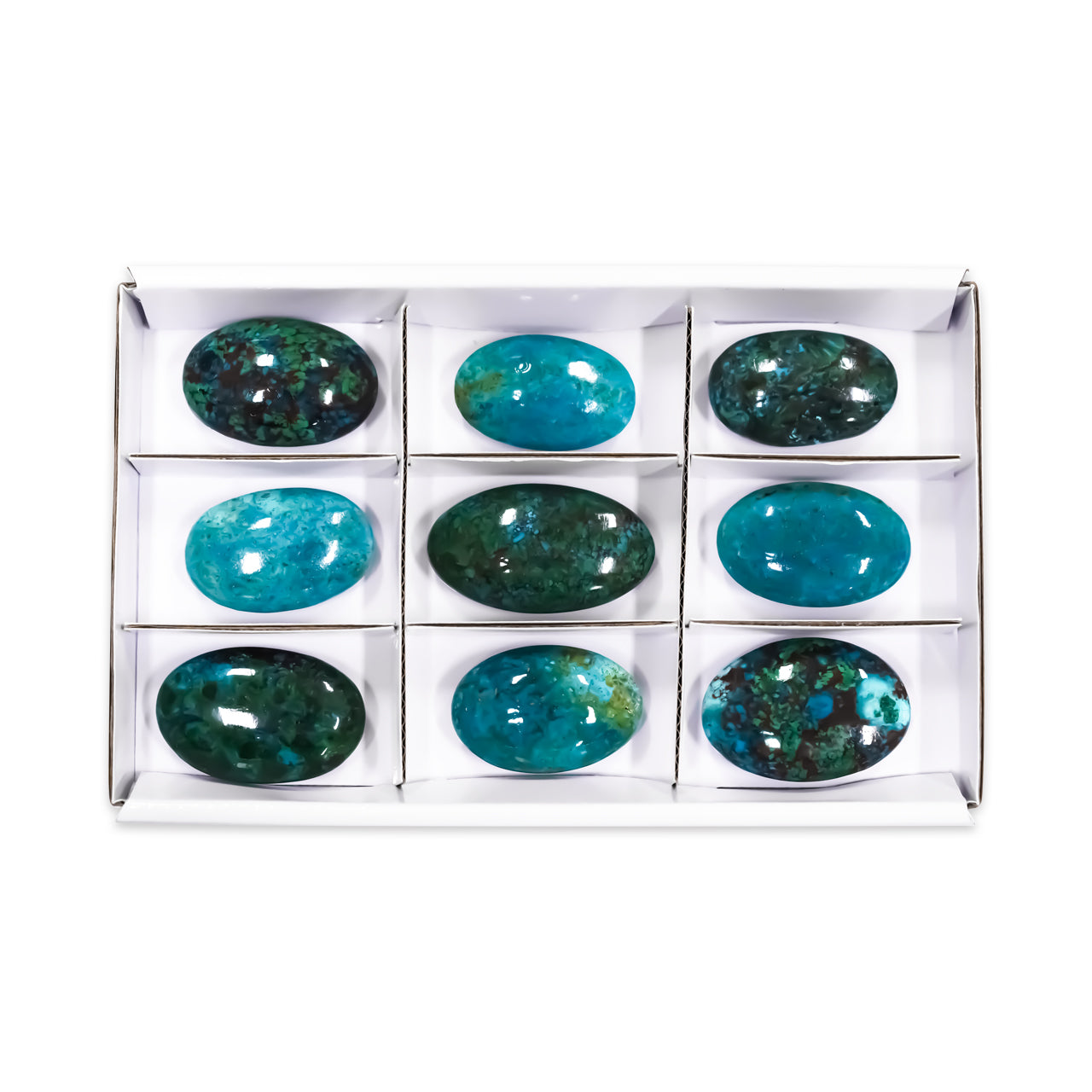 Second front‑facing image showing nine polished chrysocolla palm stones arranged in individual sections inside a flat display box, with smooth rounded surfaces and varied blue‑green coloration.