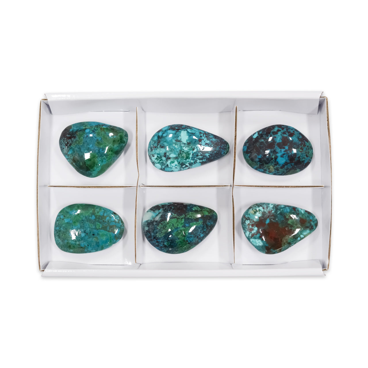 Second front‑facing image showing six polished chrysocolla freeform palm stones arranged in individual sections inside a flat display box, each stone displaying varied blue‑green coloration and natural patterning.