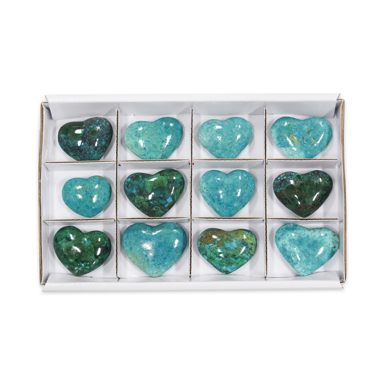 Second front‑facing image showing twelve flat chrysocolla heart stones arranged in a sturdy flat box with individual sections, displaying varied blue‑green color patterns and natural veining. Showcasing stone's color variations.
