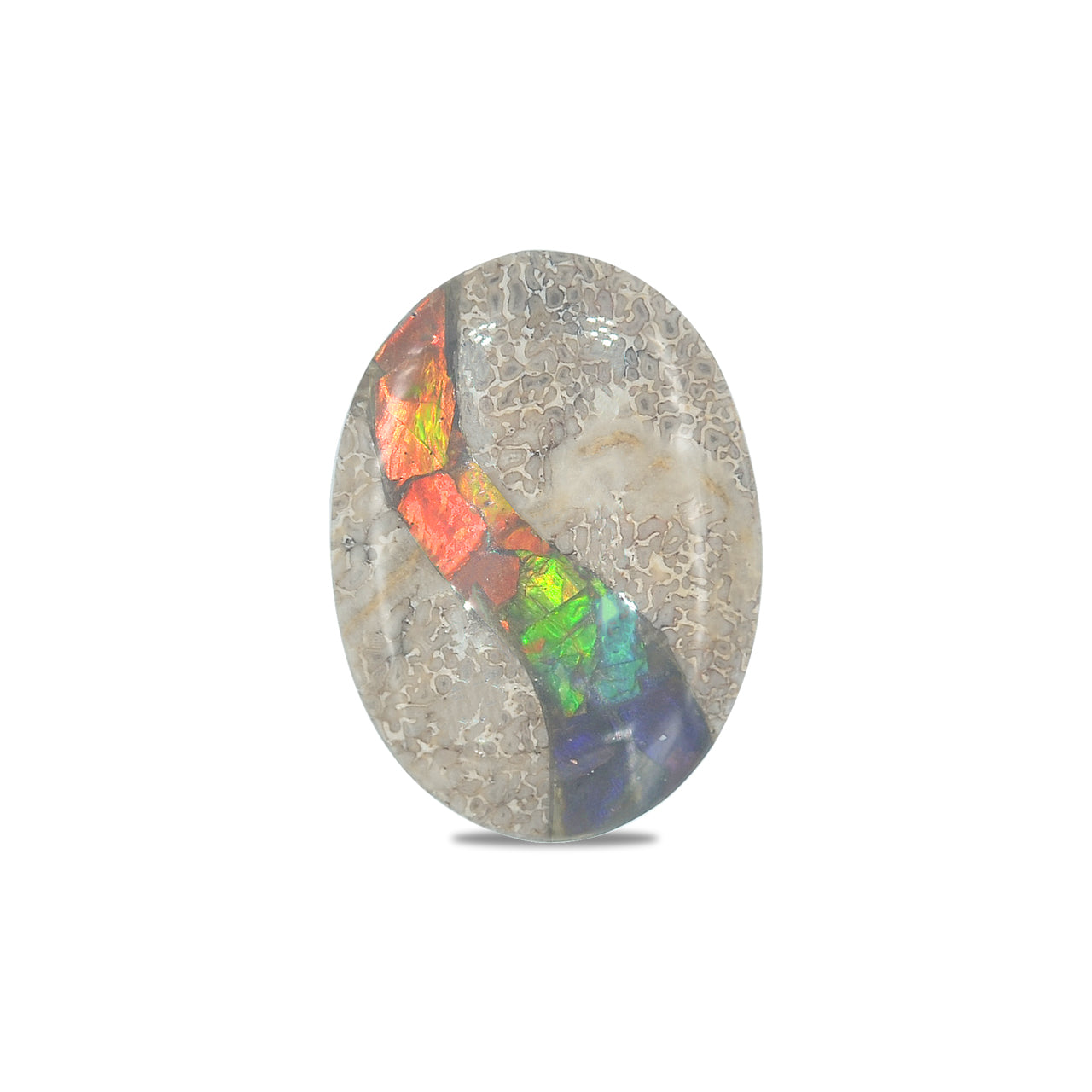 Starborn Fossil Dinosaur Bone with Ammolite Inlay Oval Cabochon - 1 piece