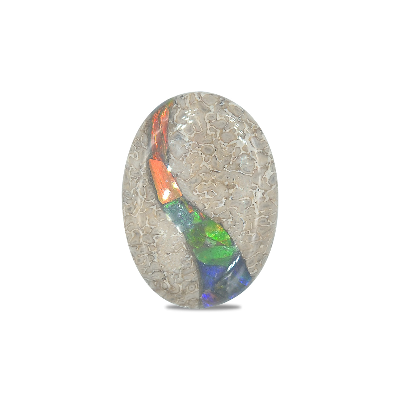 Starborn Fossil Dinosaur Bone with Ammolite Inlay Oval Cabochon - 1 piece