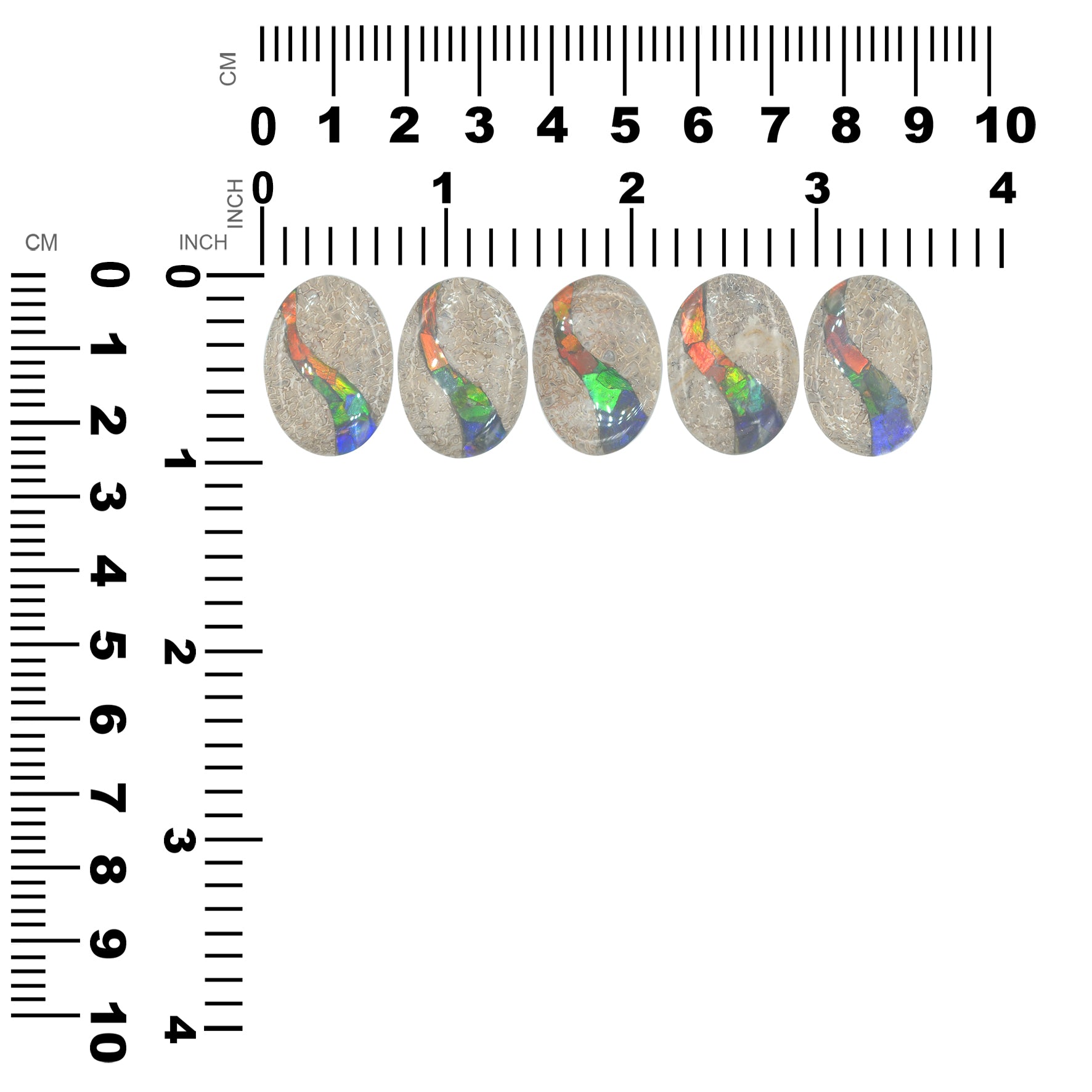Starborn Fossil Dinosaur Bone with Ammolite Inlay Oval Cabochon - 1 piece