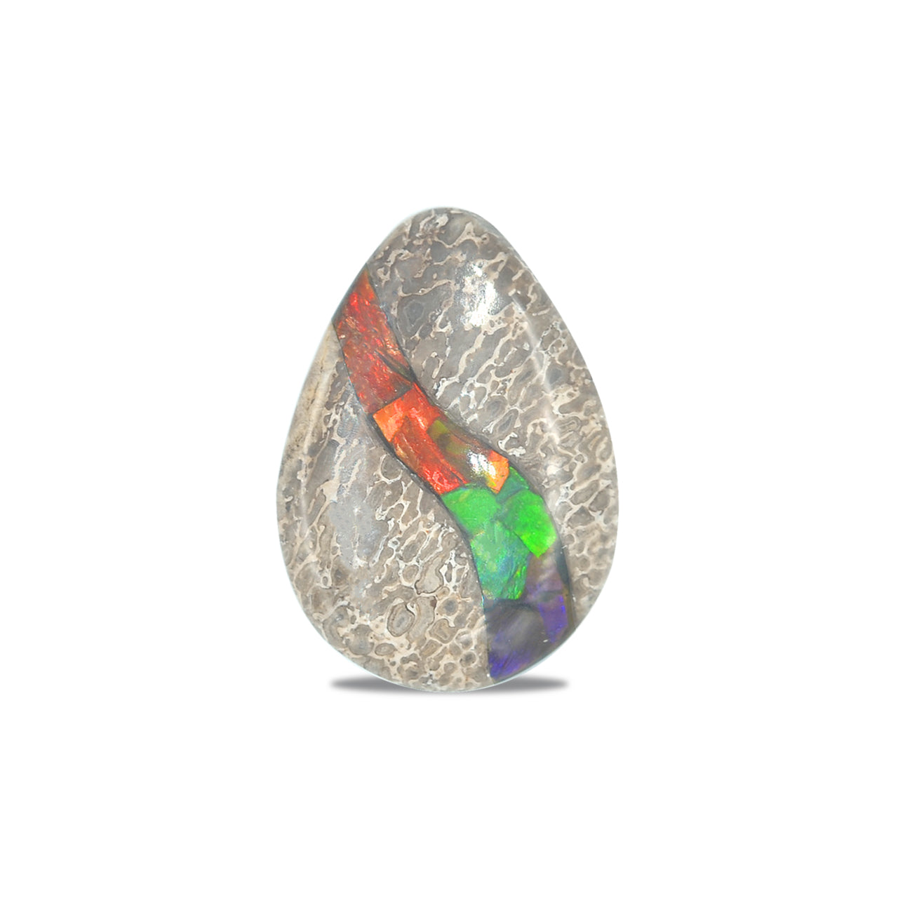 Hueso de dinosaurio fósil con pera cabujón con incrustaciones de ammolita - 1 pieza