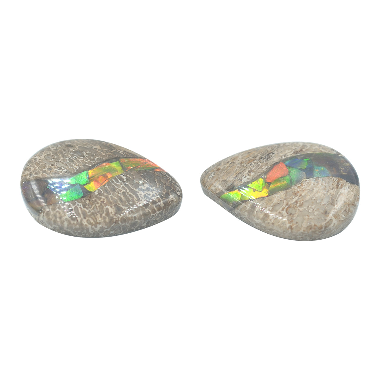 Hueso de dinosaurio fósil con pera cabujón con incrustaciones de ammolita - 1 pieza